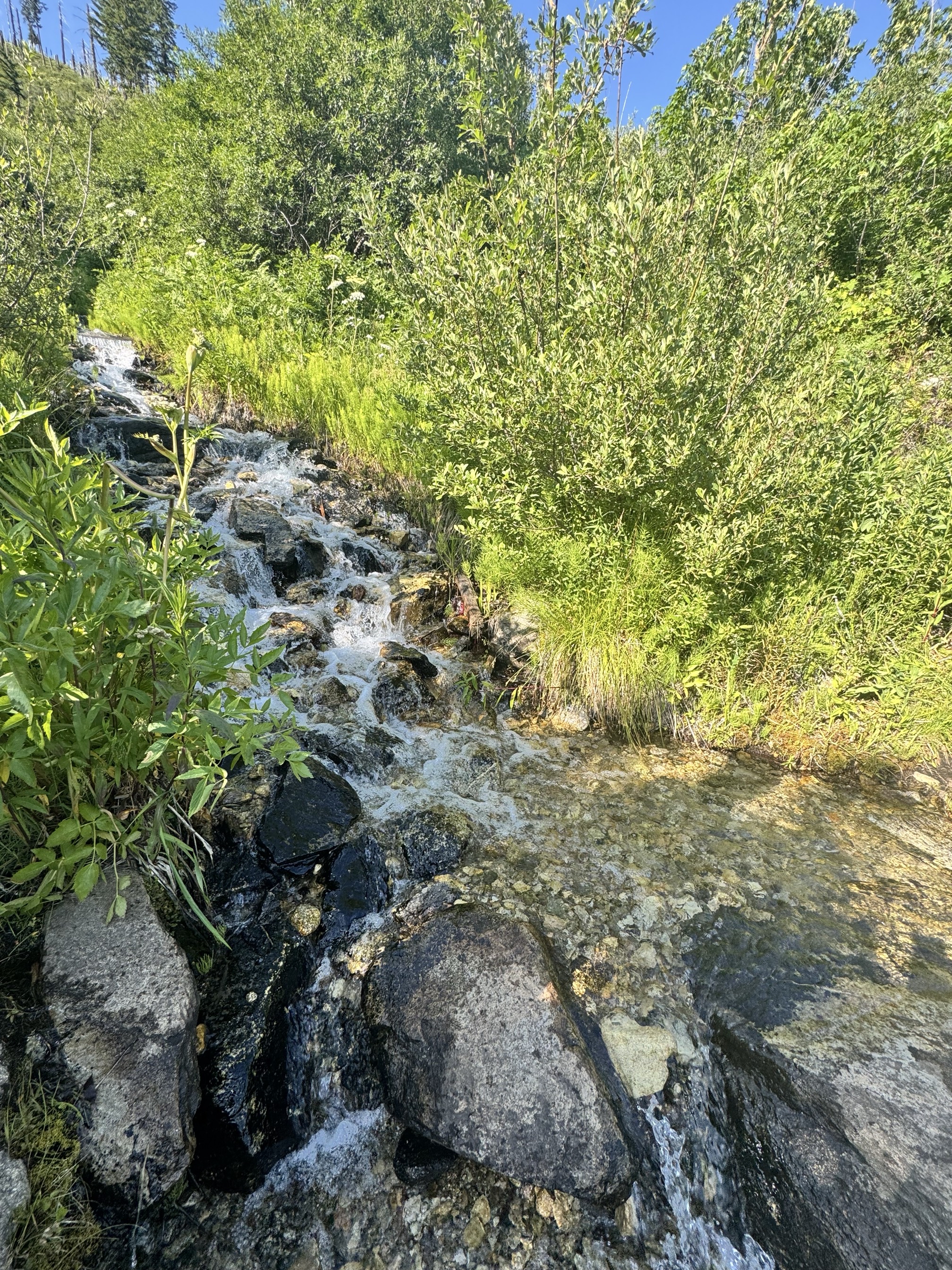Dirtyface Lookout