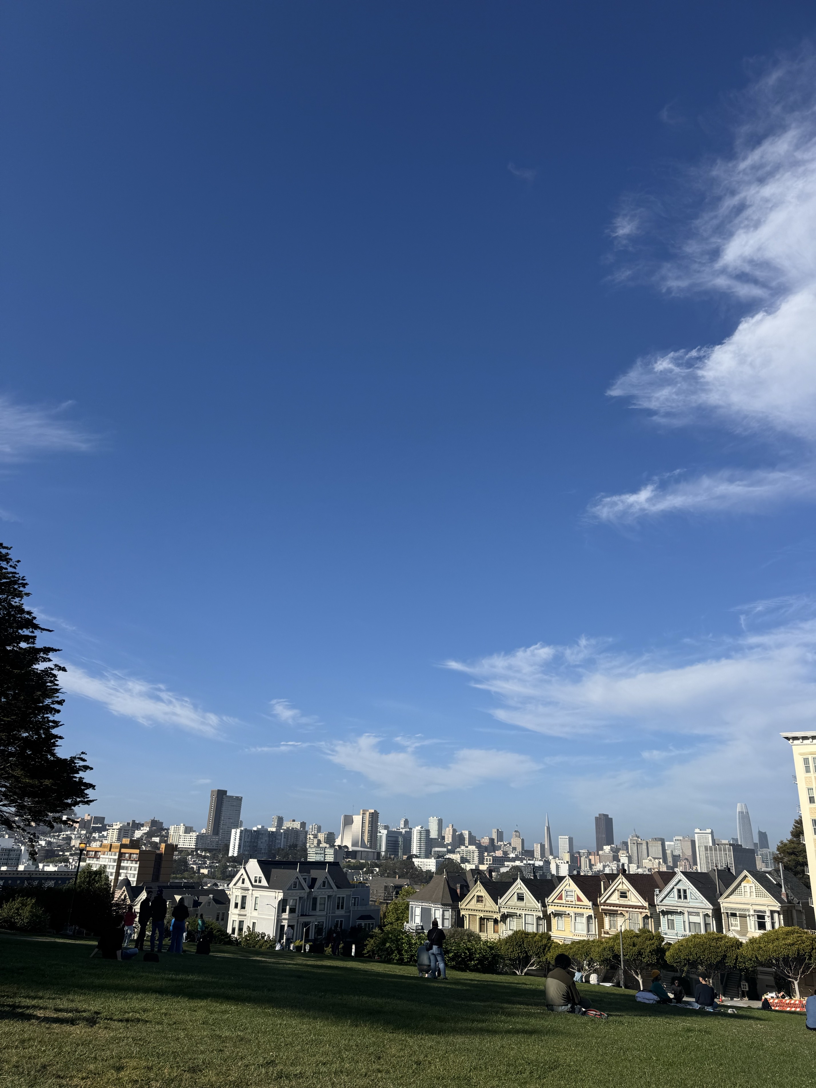 Alamo Park Square Park