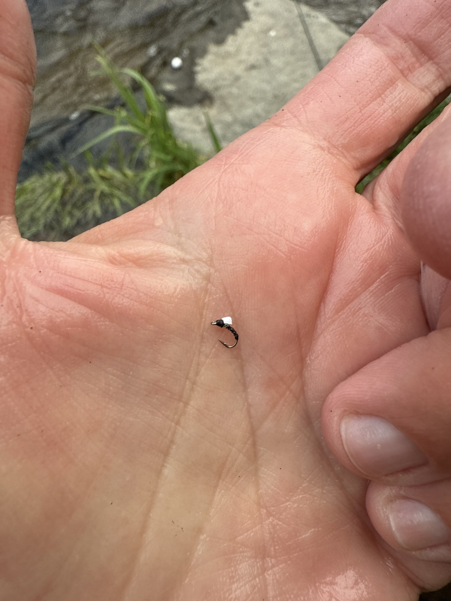 Fly Fish the Middle Provo River