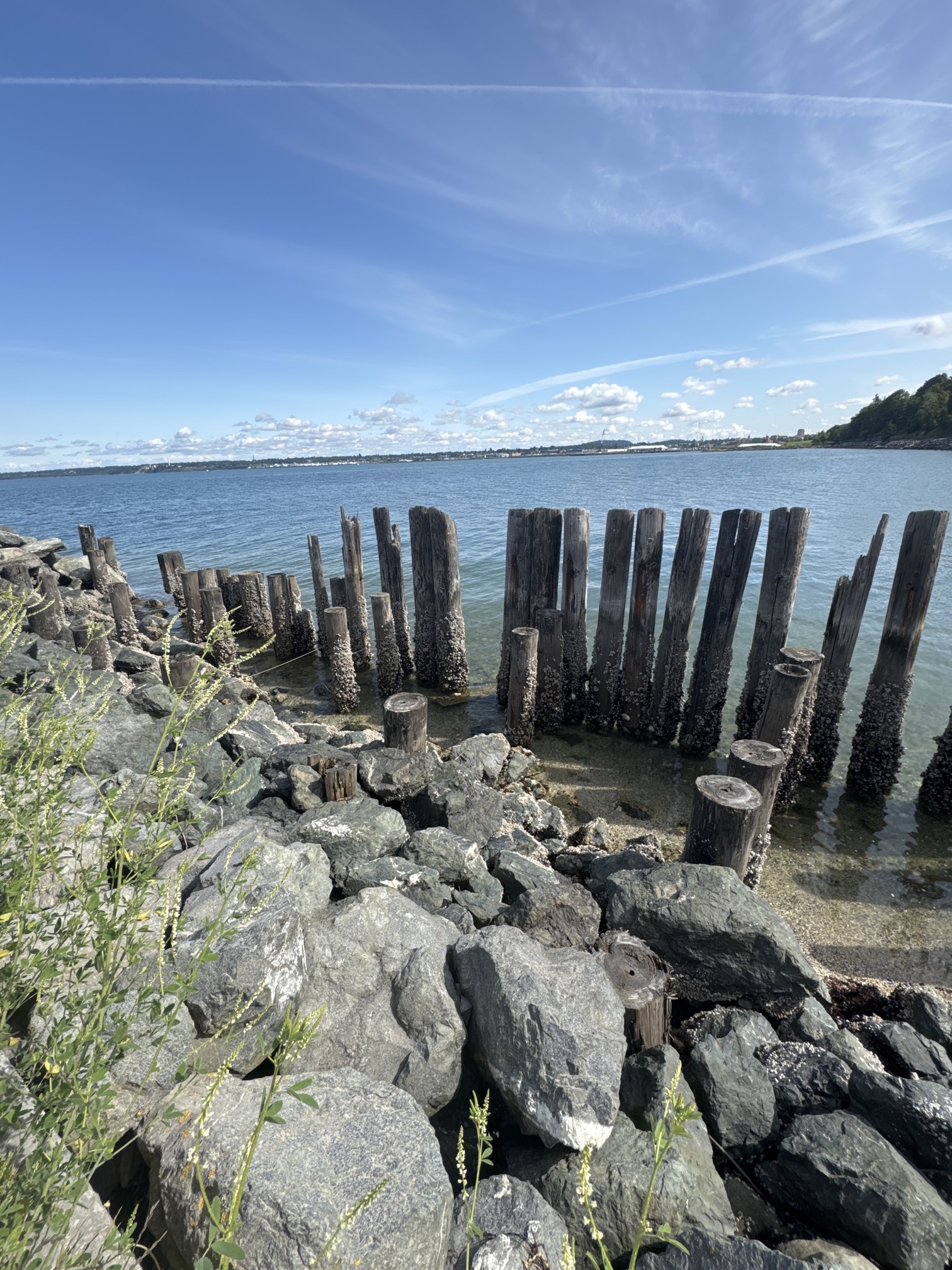 South Bay Trail