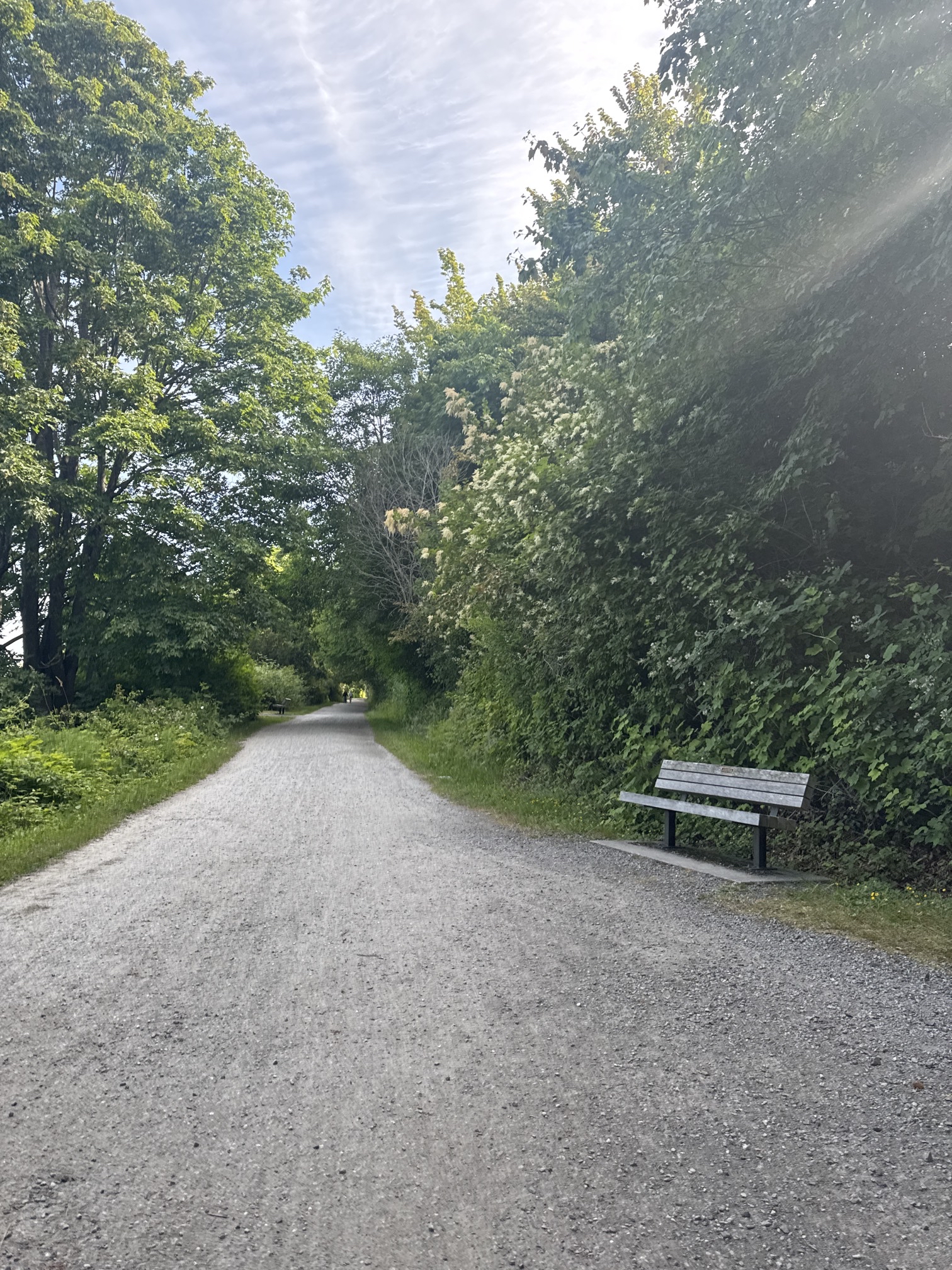 South Bay Trail