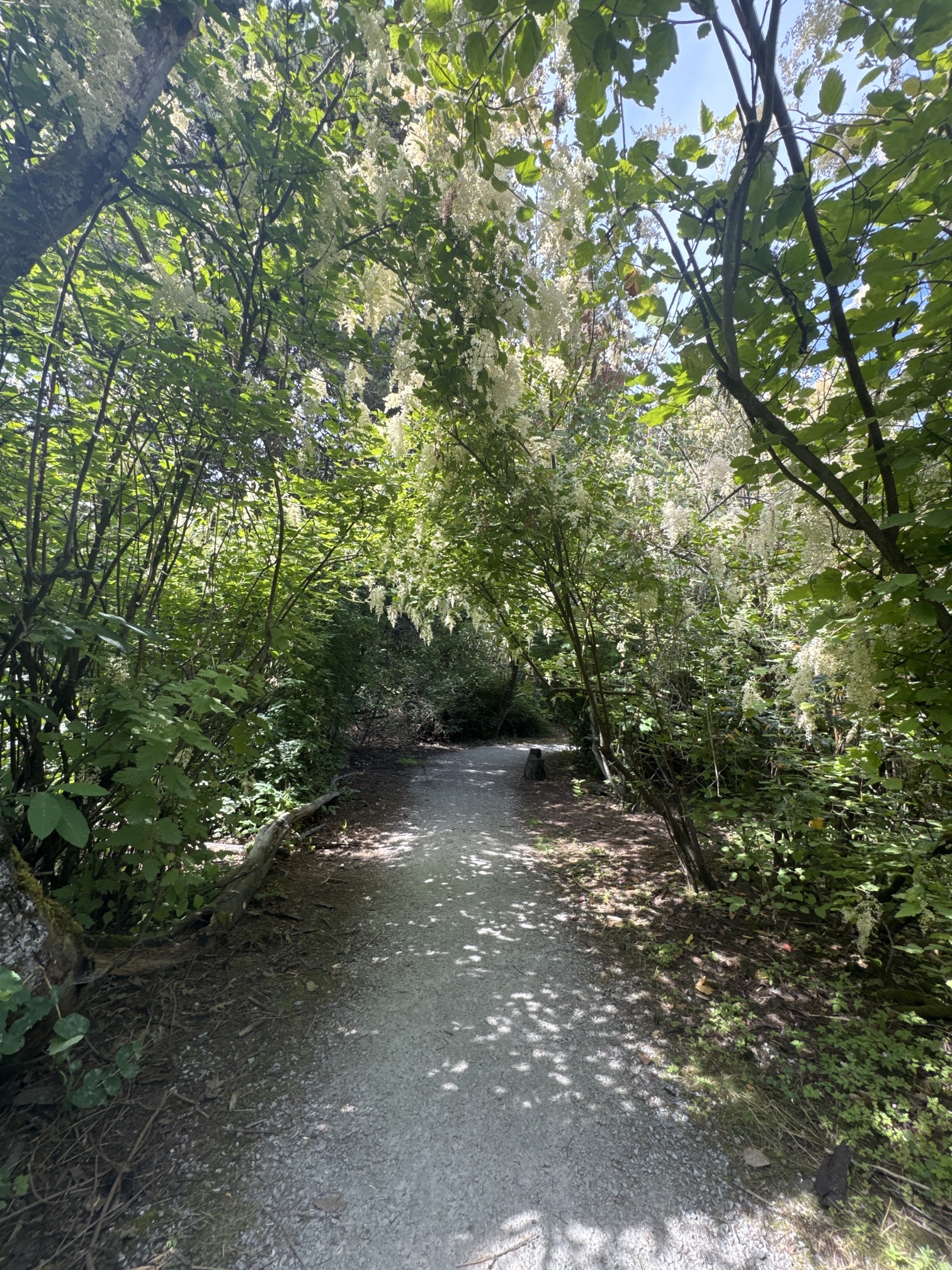 South Bay Trail