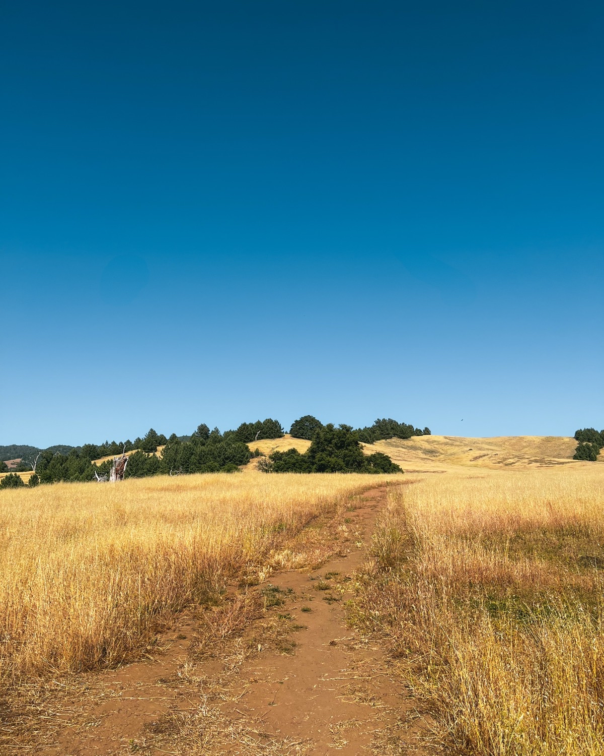 Upper Santa Ysabel Creek Trail