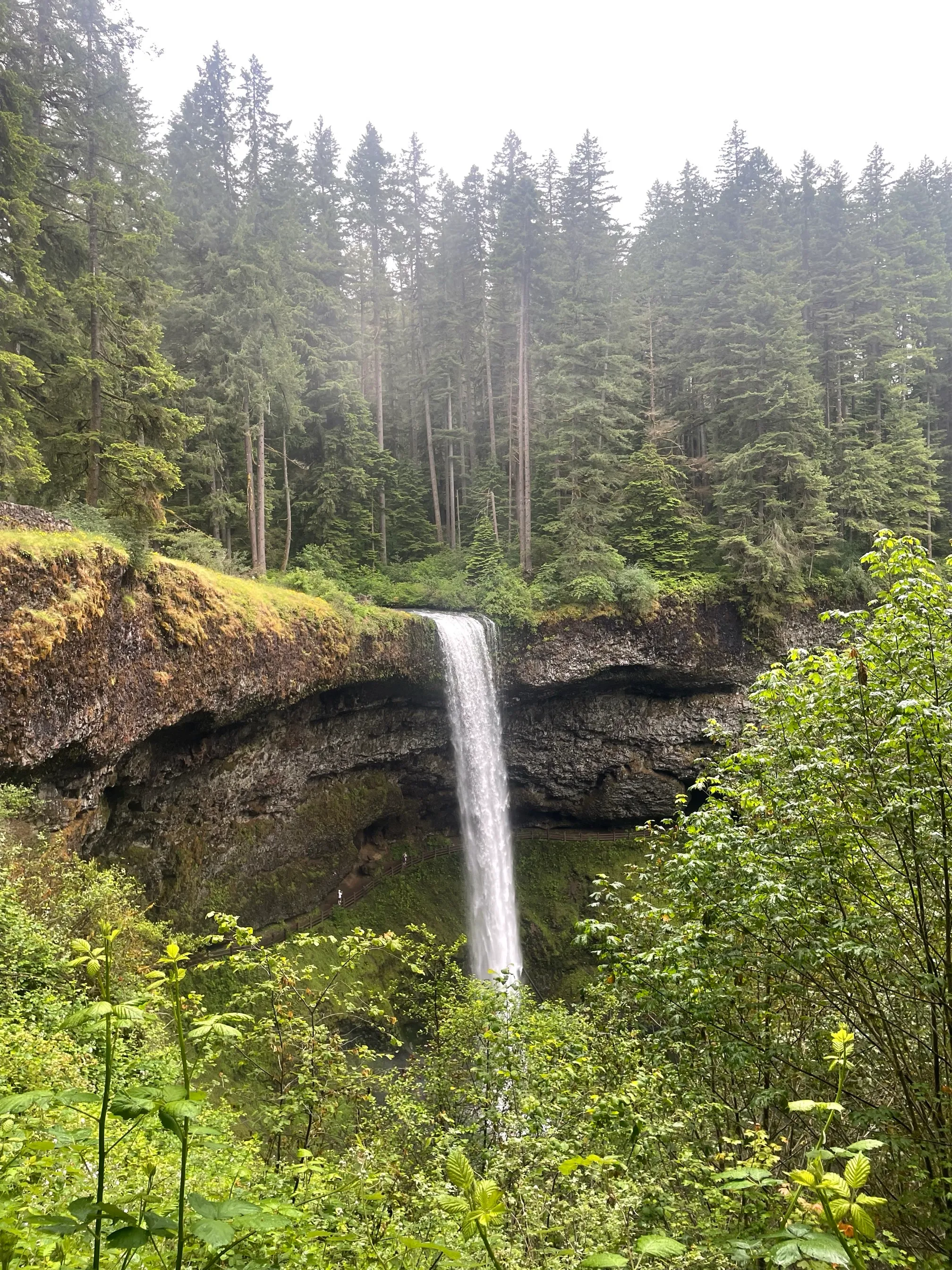 Trail of Ten Falls Loop