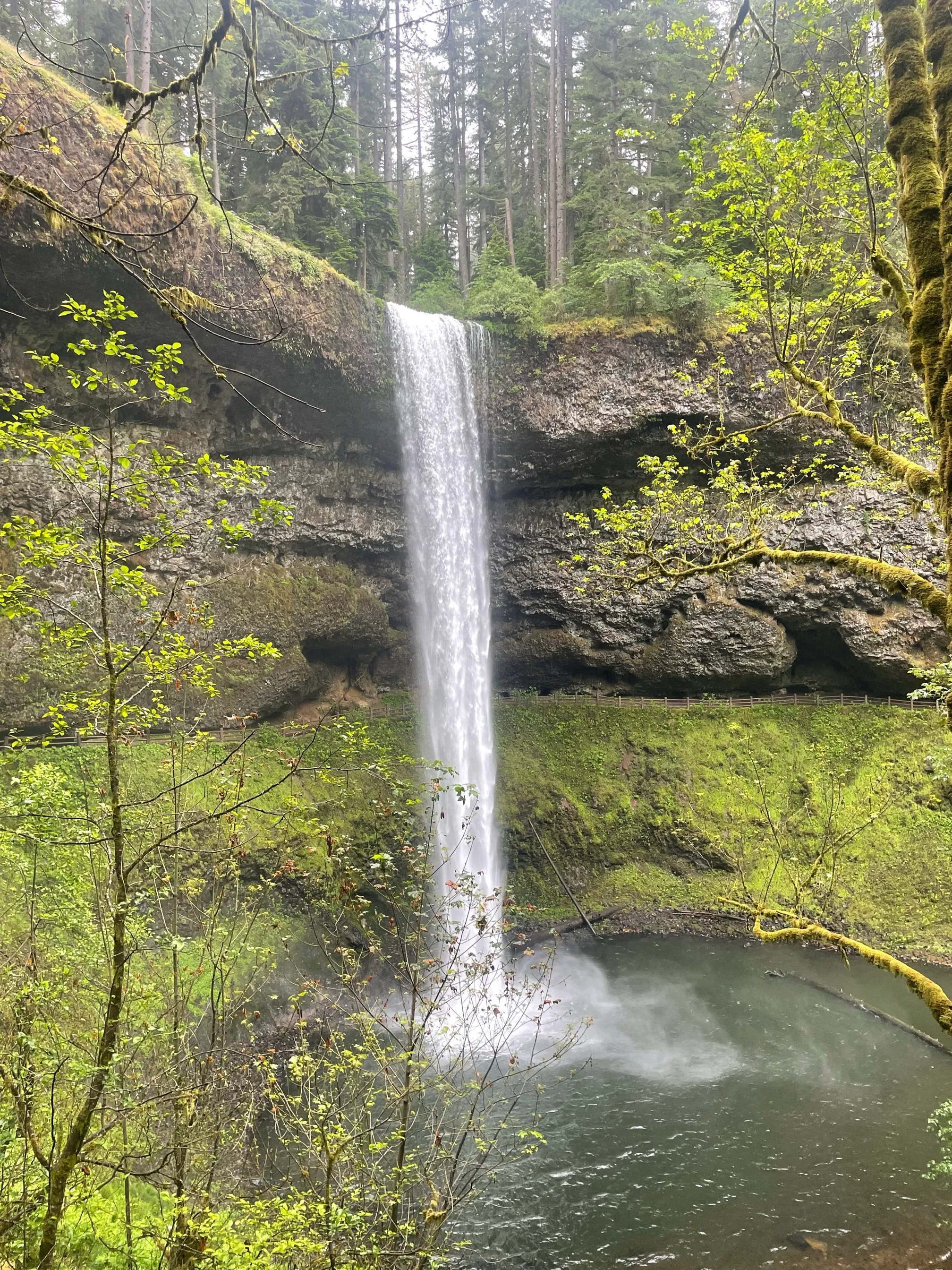 Trail of Ten Falls Loop