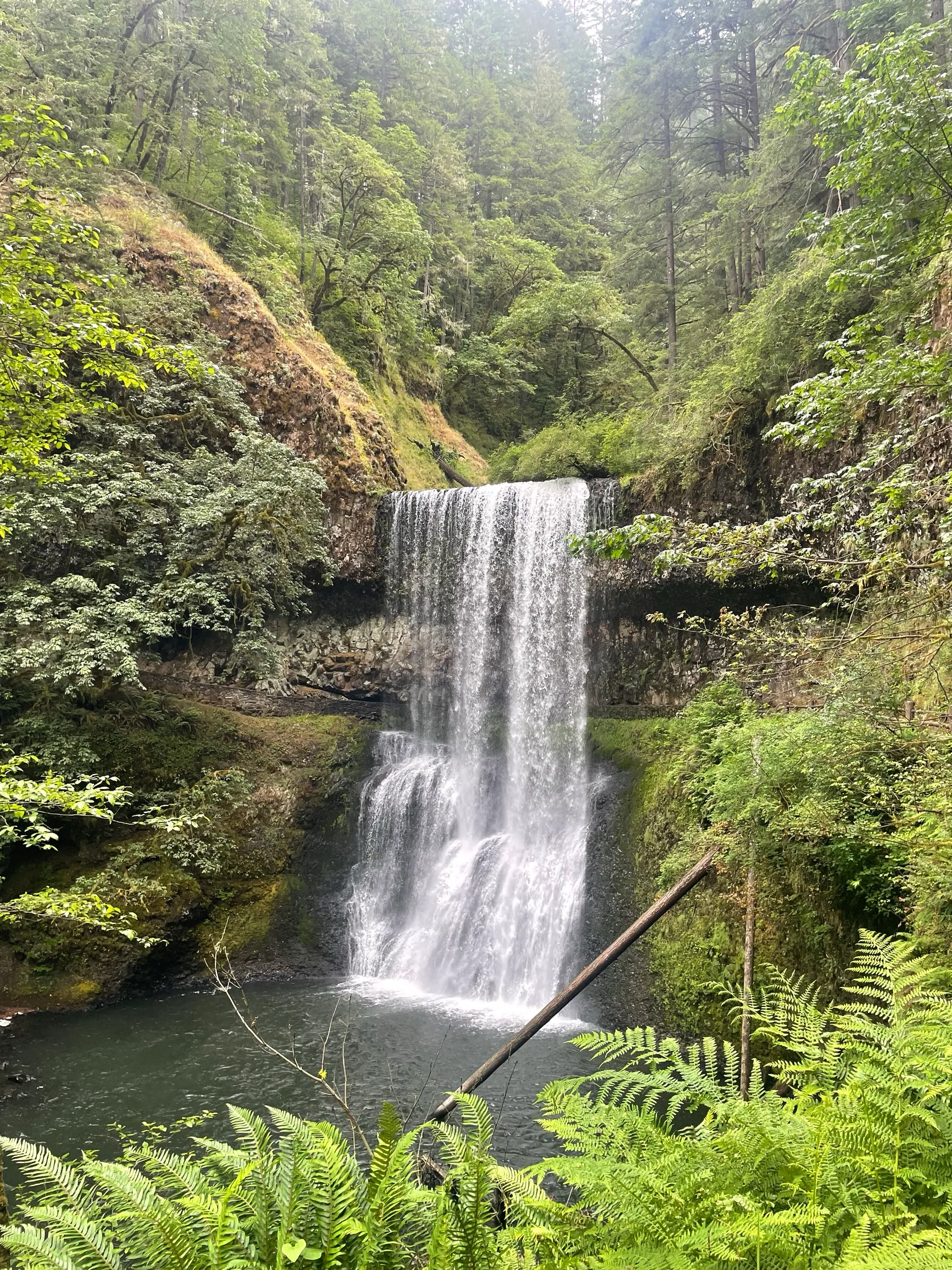 Trail of Ten Falls Loop