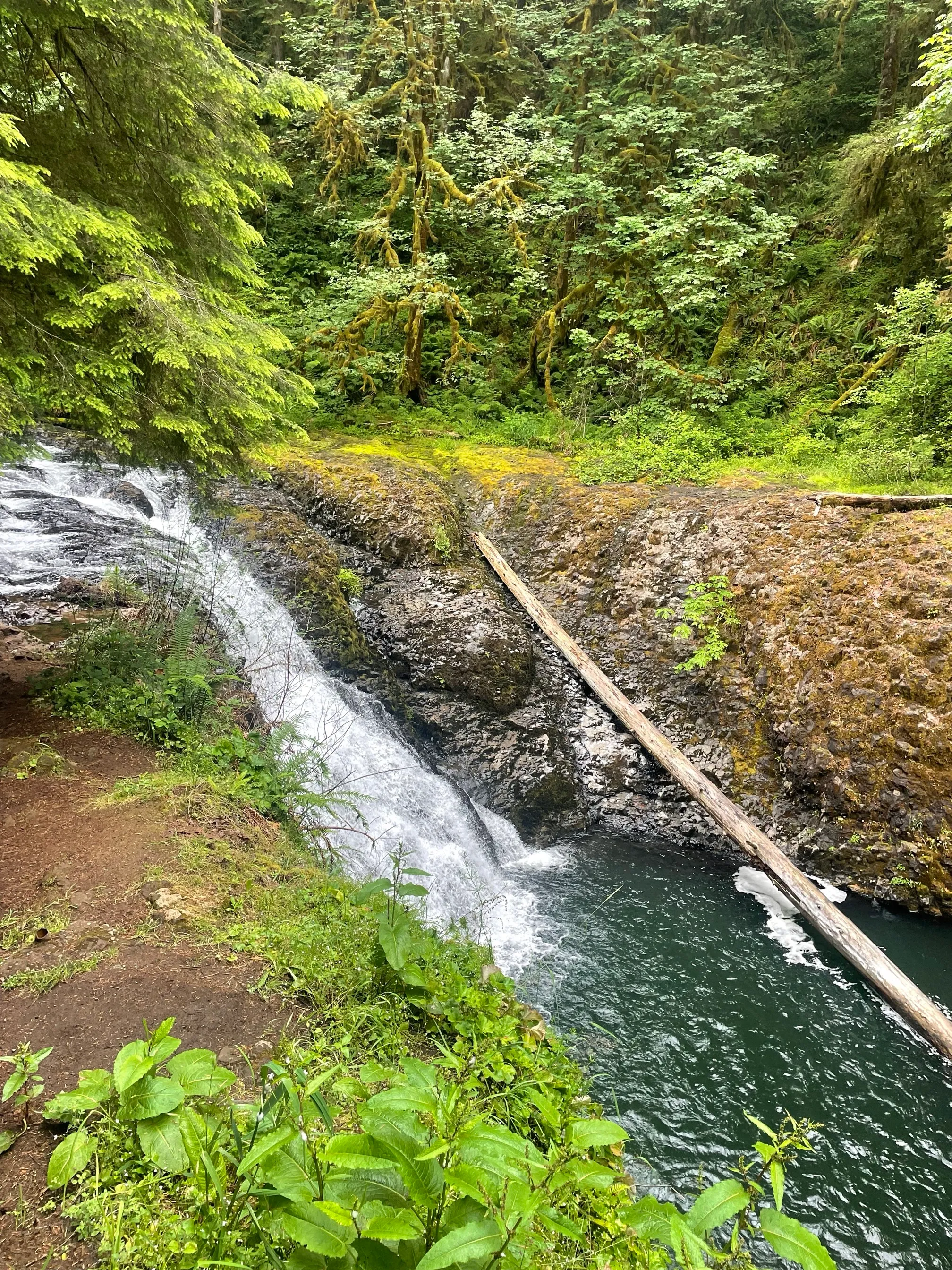 Trail of Ten Falls Loop