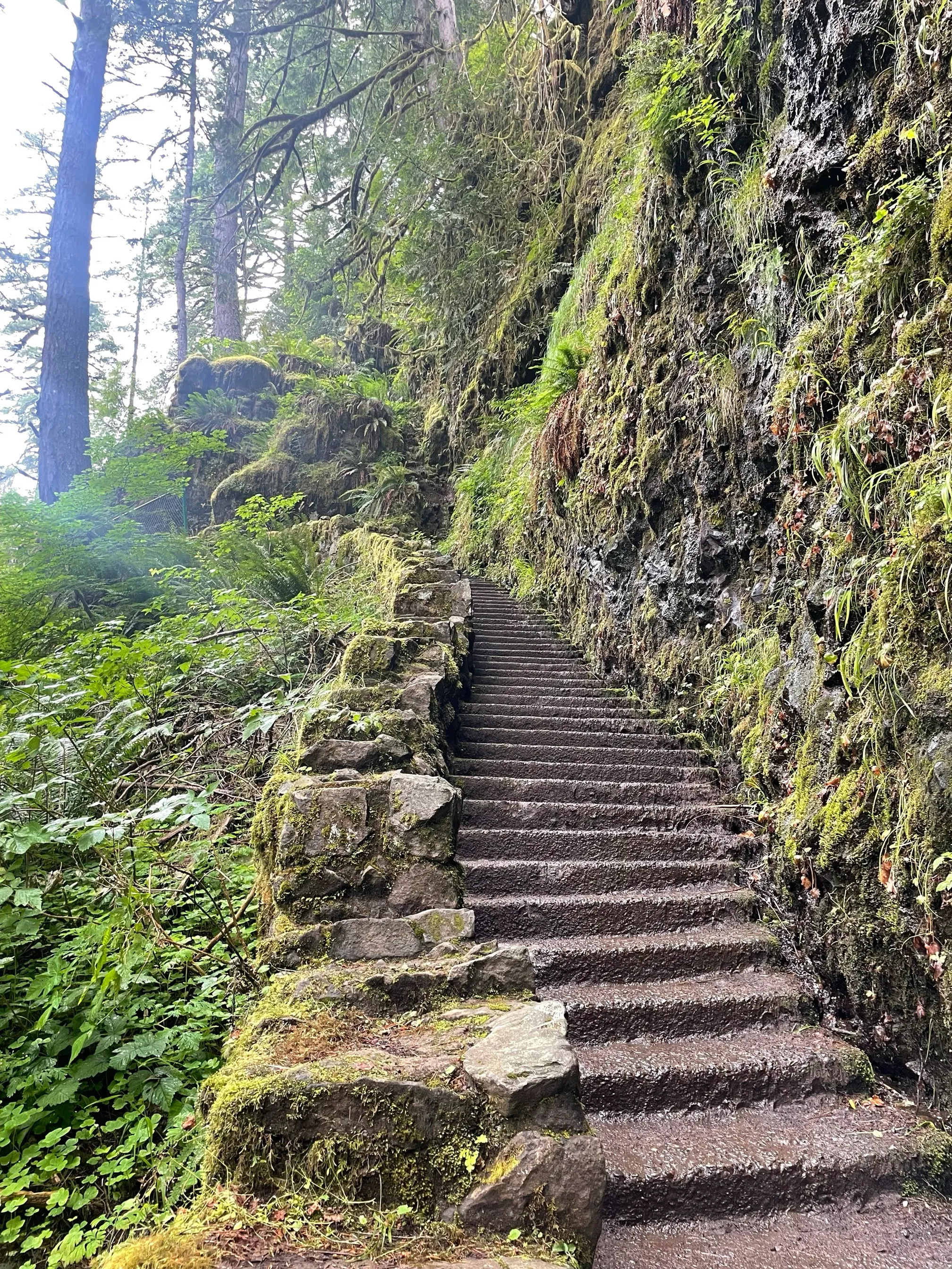 Trail of Ten Falls Loop