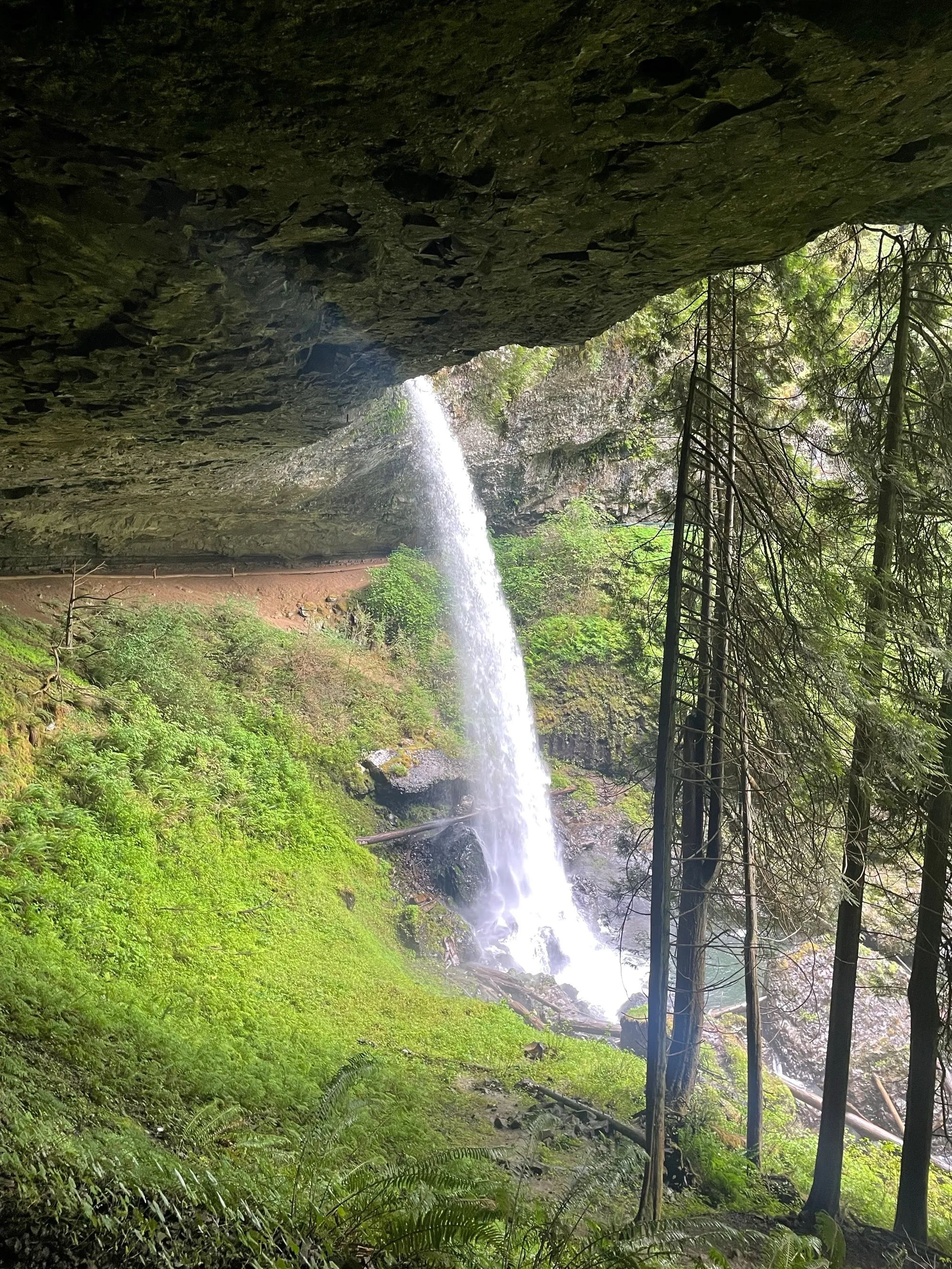 Trail of Ten Falls Loop