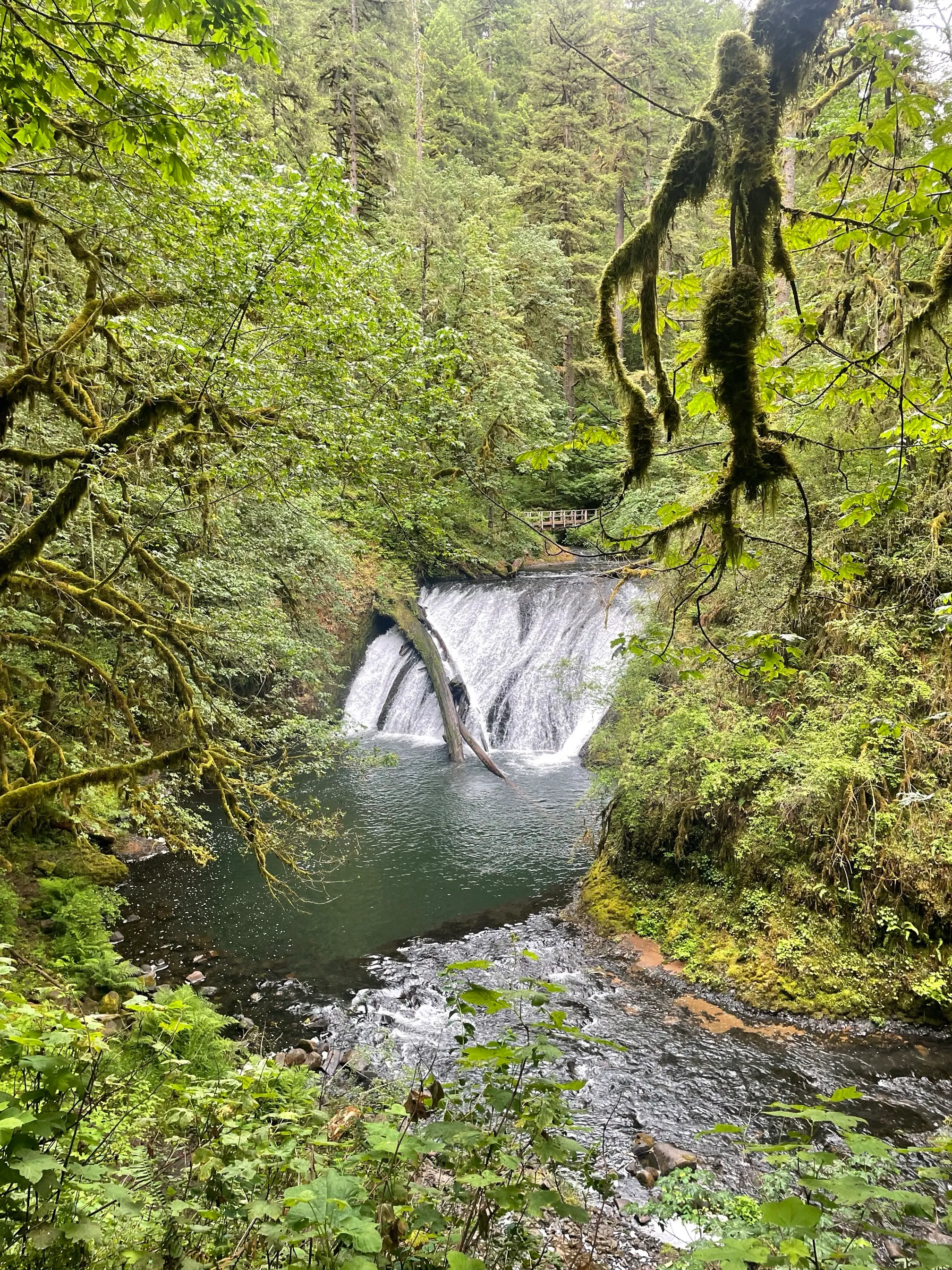 Trail of Ten Falls Loop