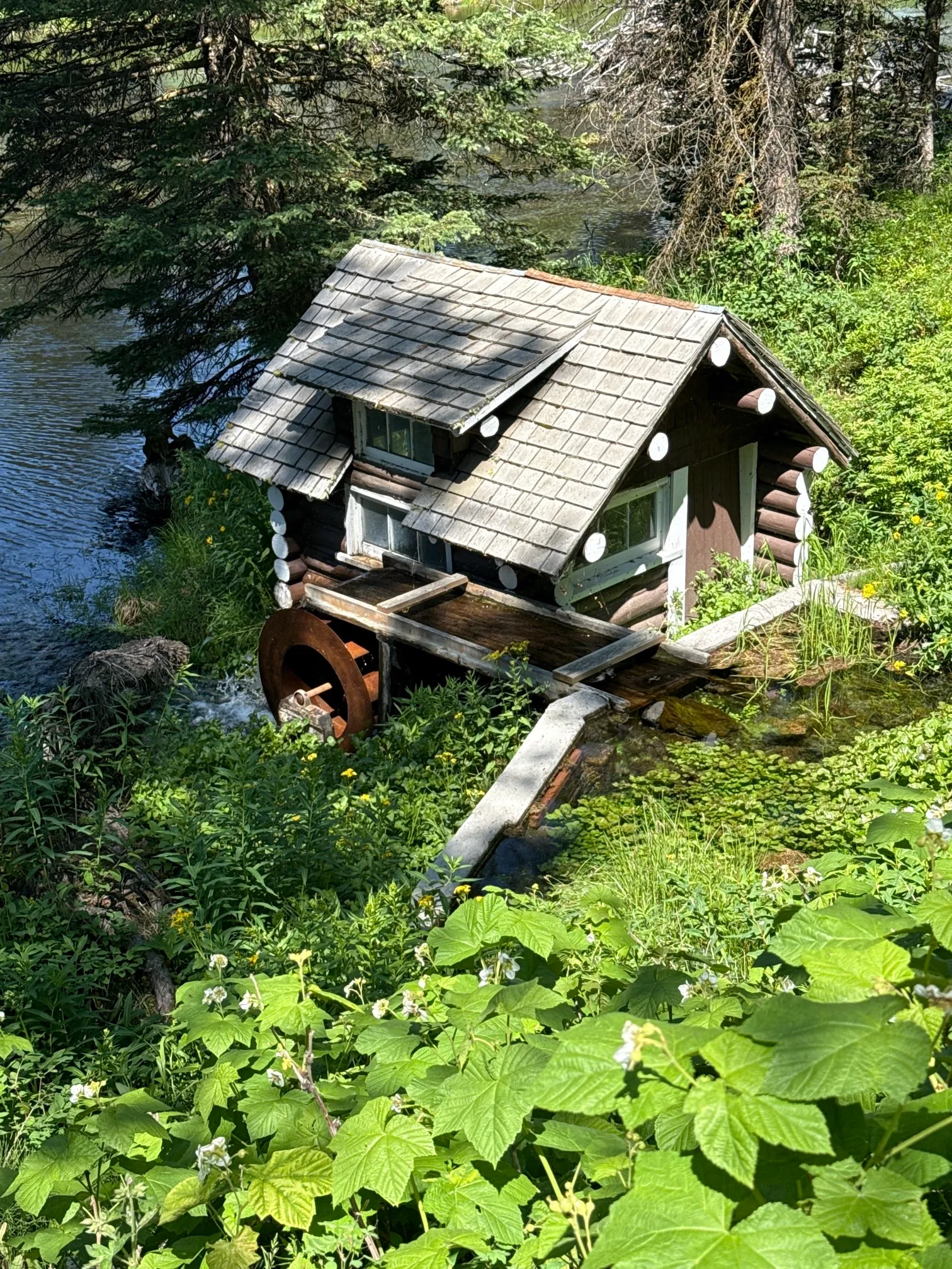 Big Springs and Johnny Sack's Cabin