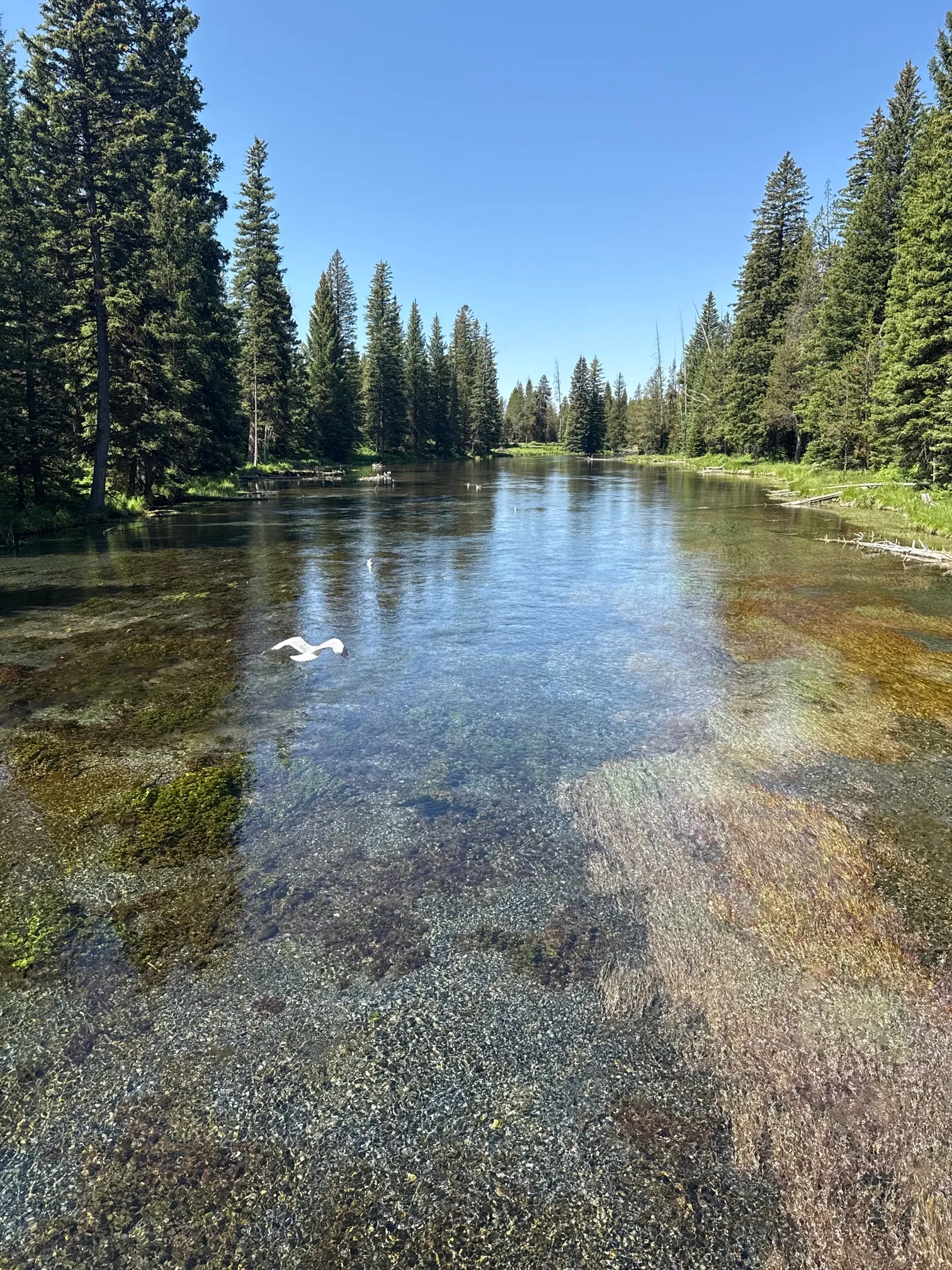 Big Springs and Johnny Sack's Cabin