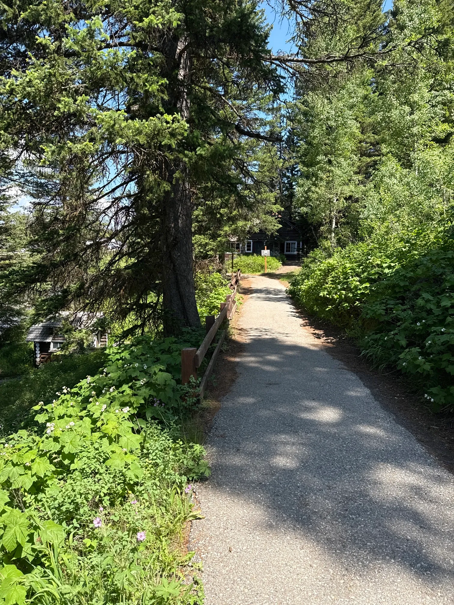 Big Springs and Johnny Sack's Cabin