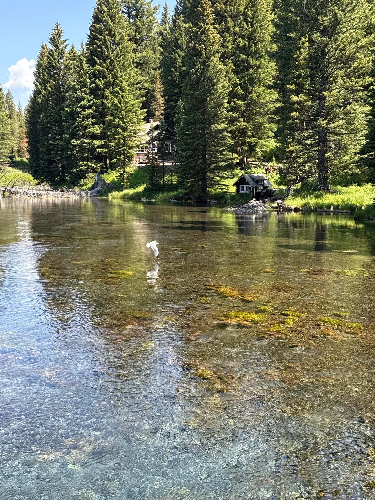 Big Springs and Johnny Sack's Cabin