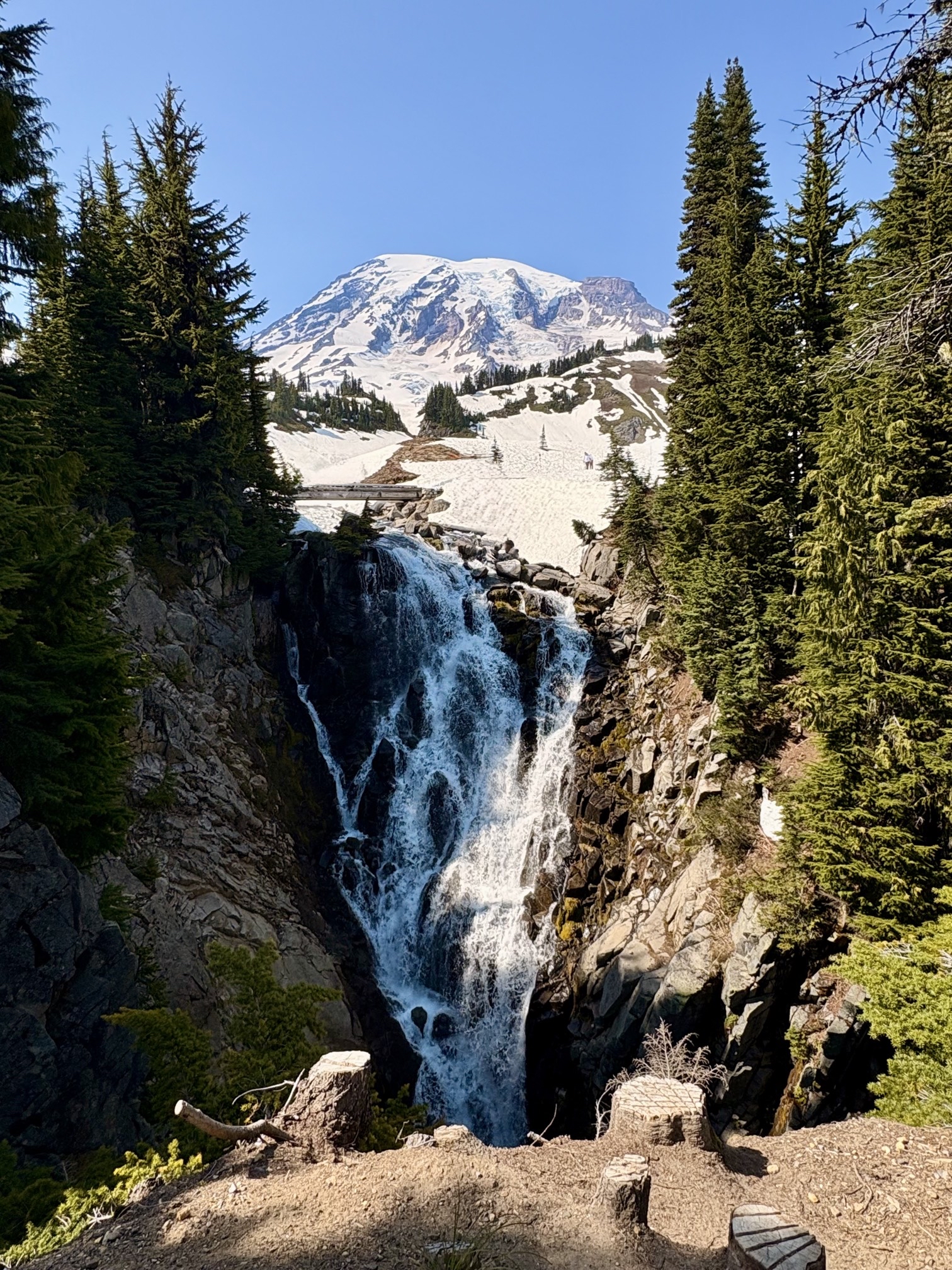 Myrtle Falls Overlook