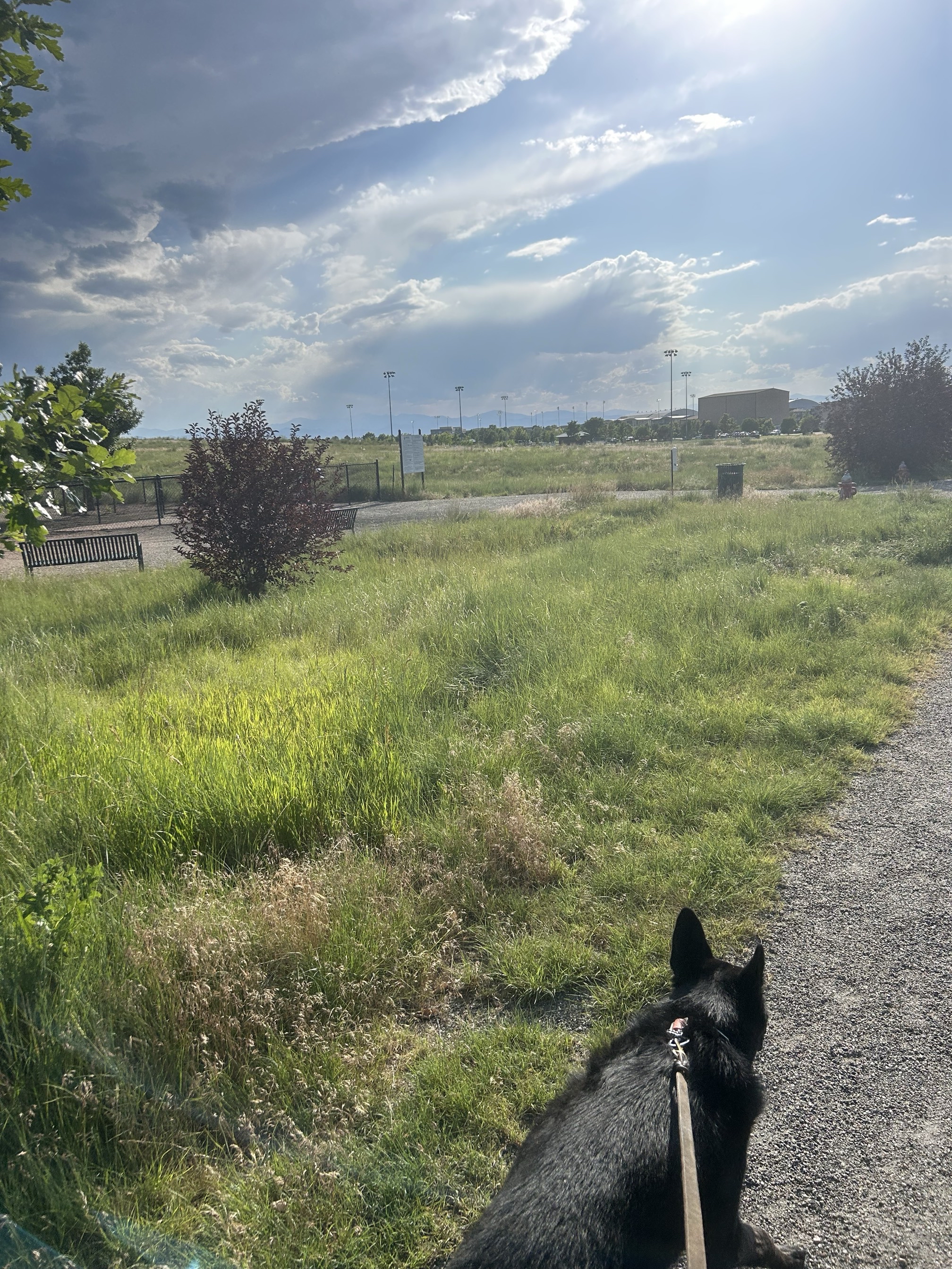 Westerly Creek Trail