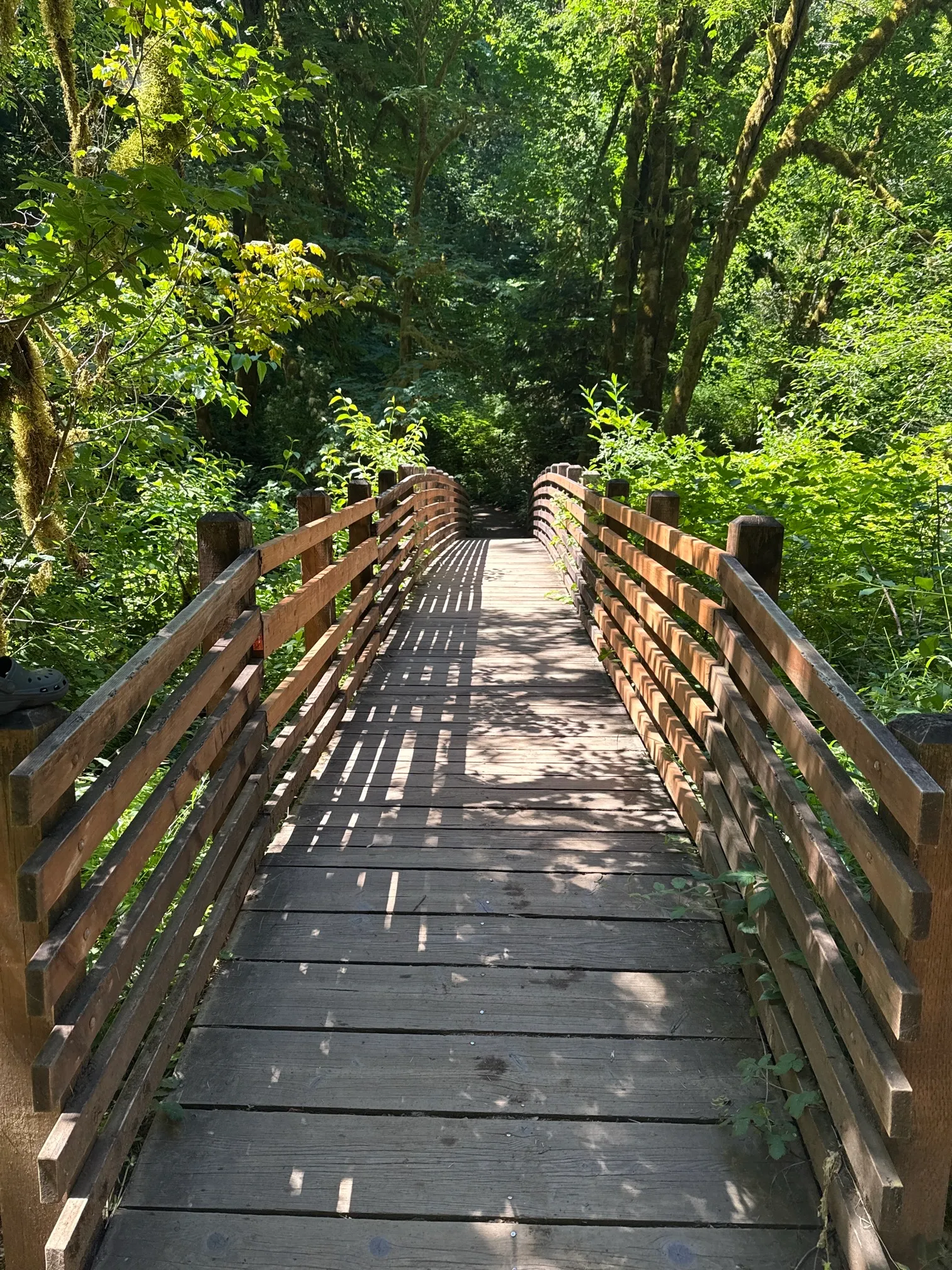 McDowell Creek County Park Loop