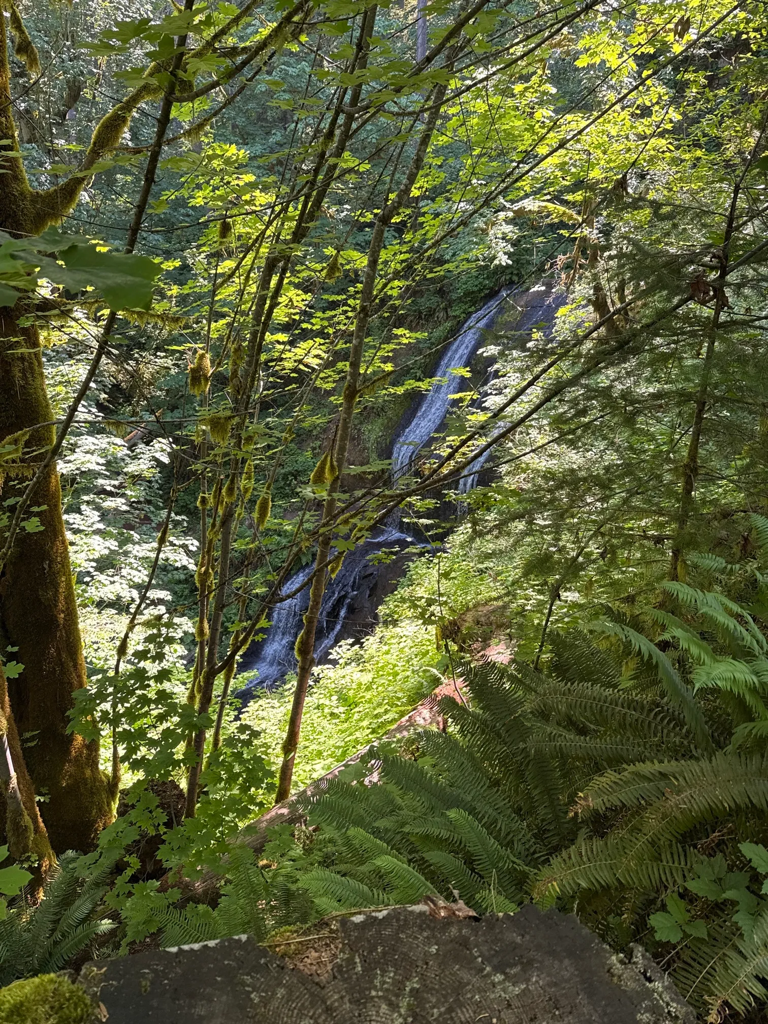 McDowell Creek County Park Loop