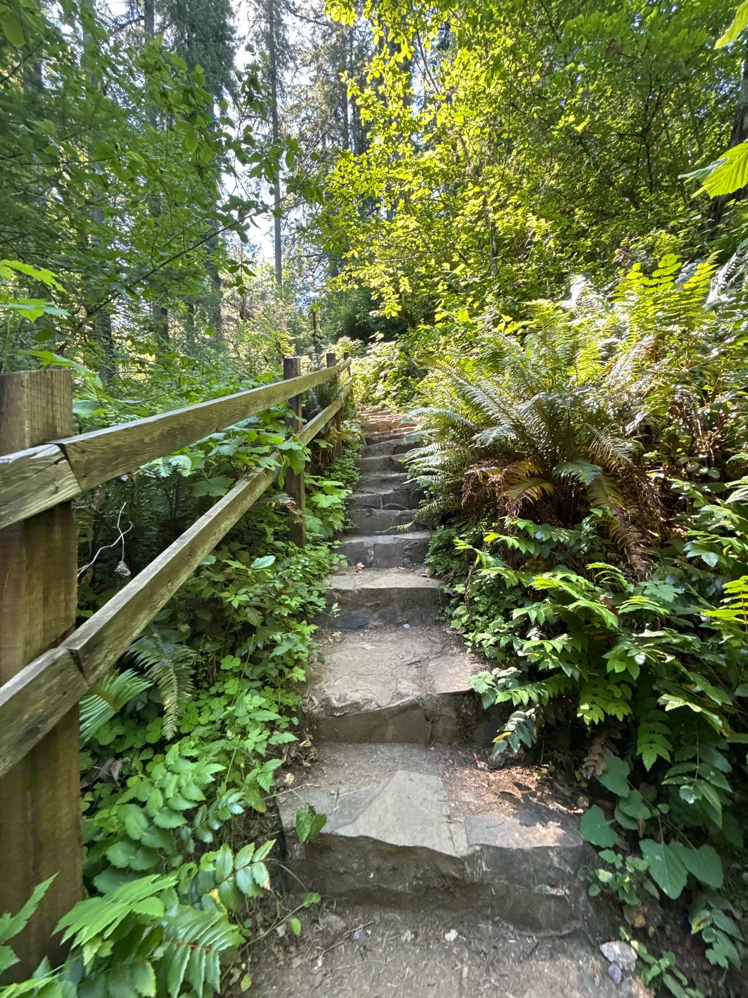 McDowell Creek County Park Loop
