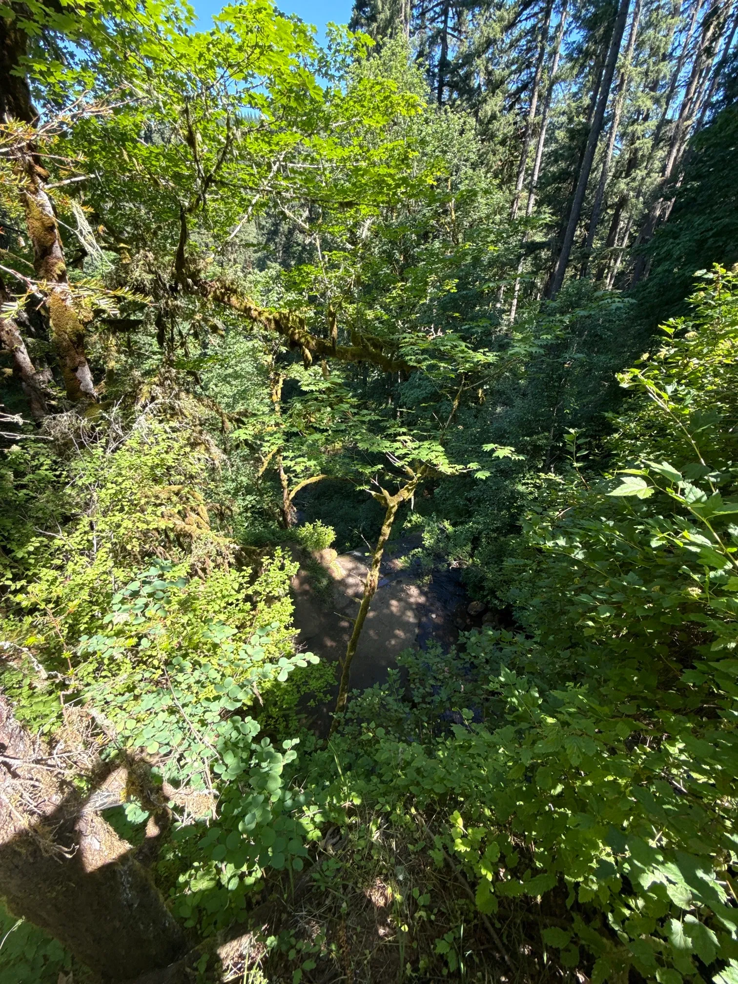 McDowell Creek County Park Loop