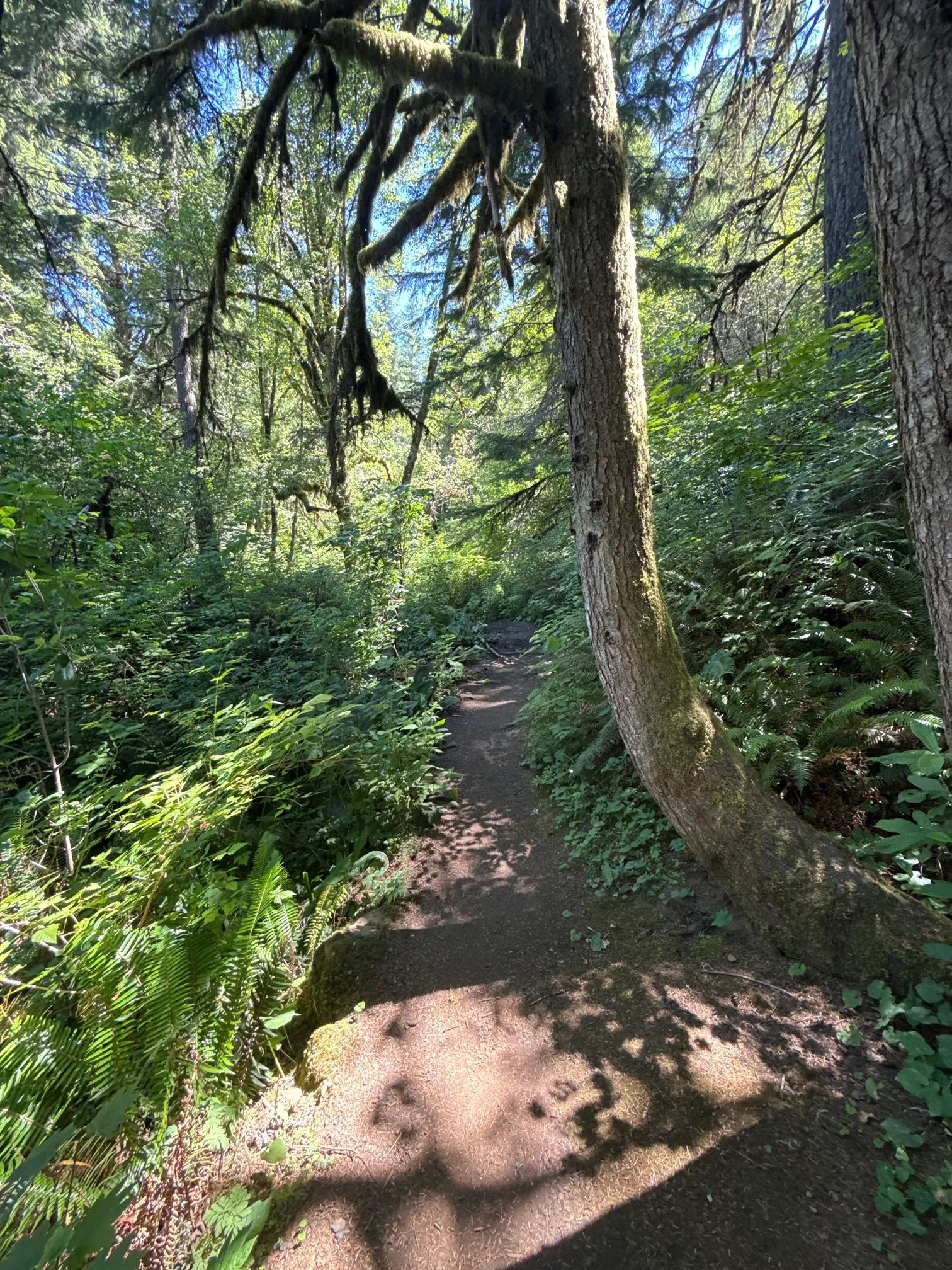 McDowell Creek County Park Loop