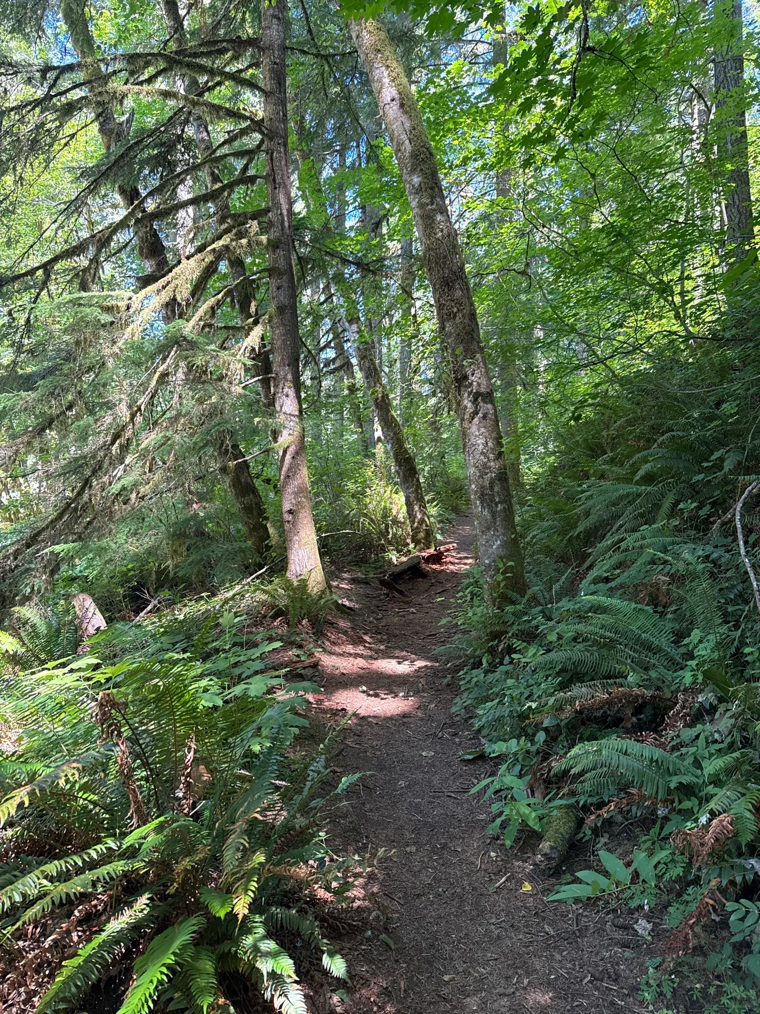 McDowell Creek County Park Loop