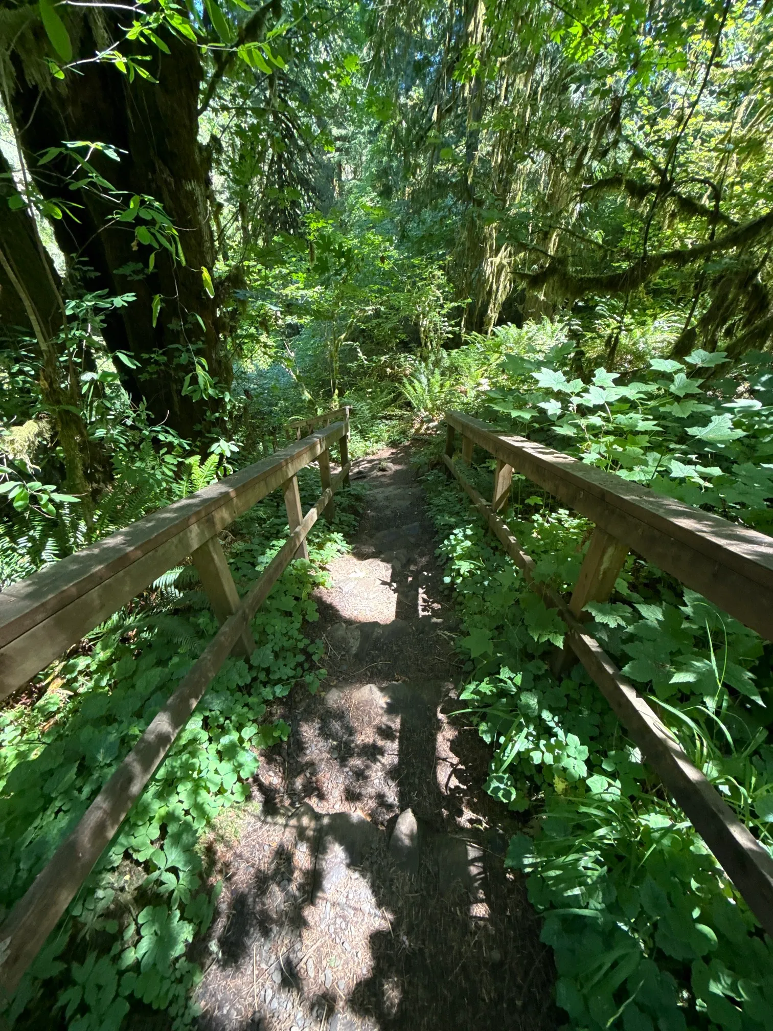McDowell Creek County Park Loop