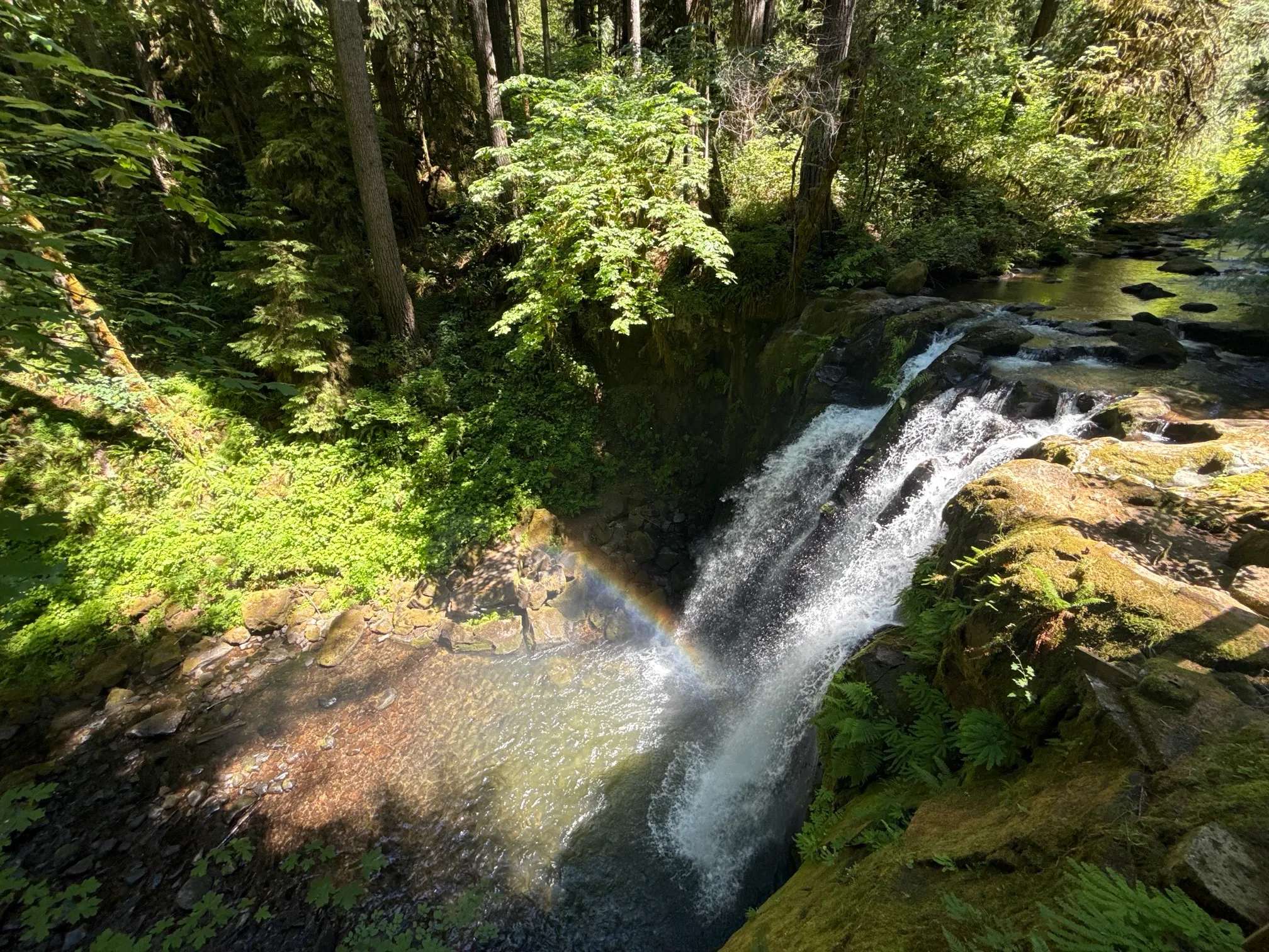 McDowell Creek County Park Loop