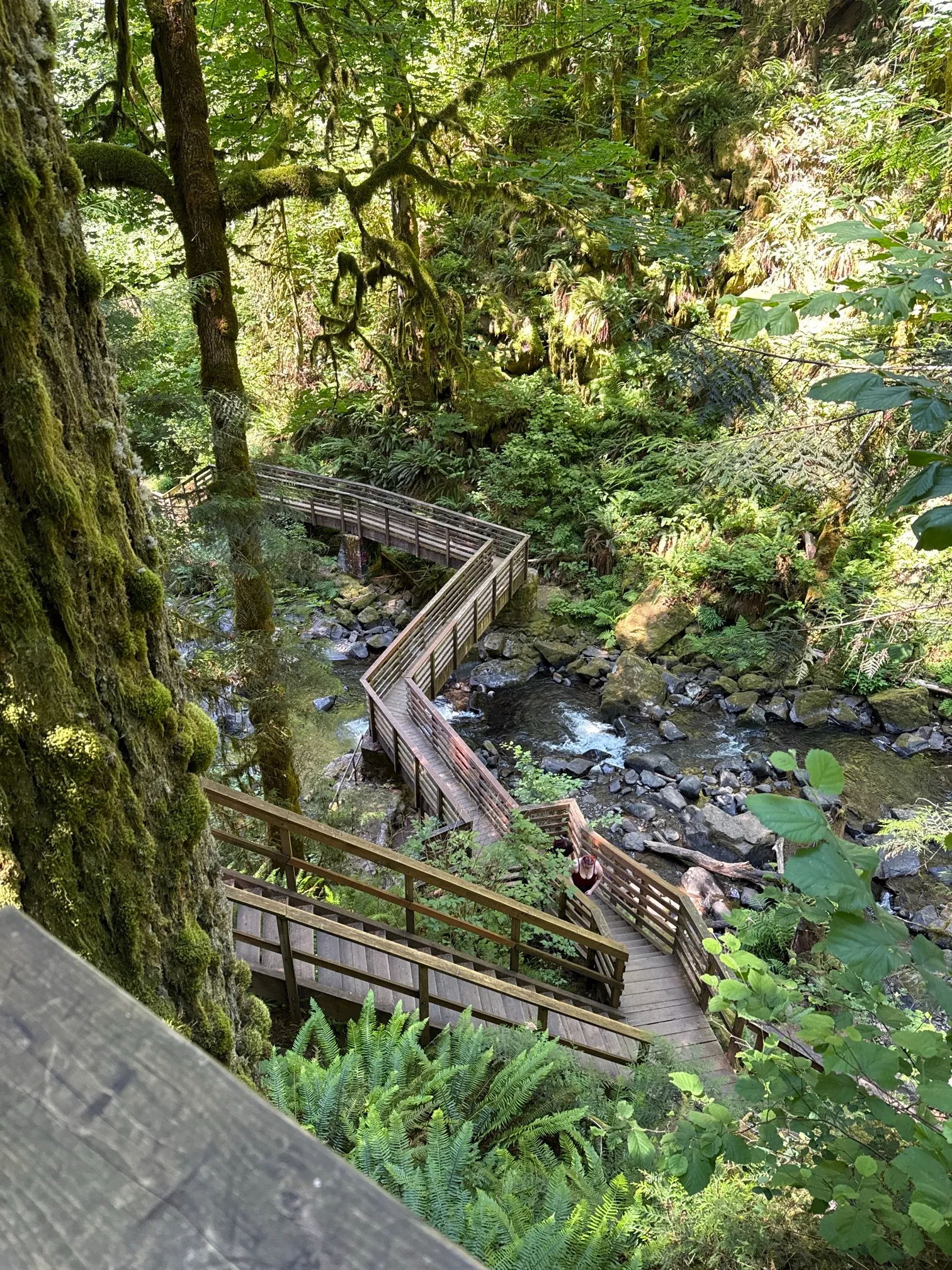 McDowell Creek County Park Loop