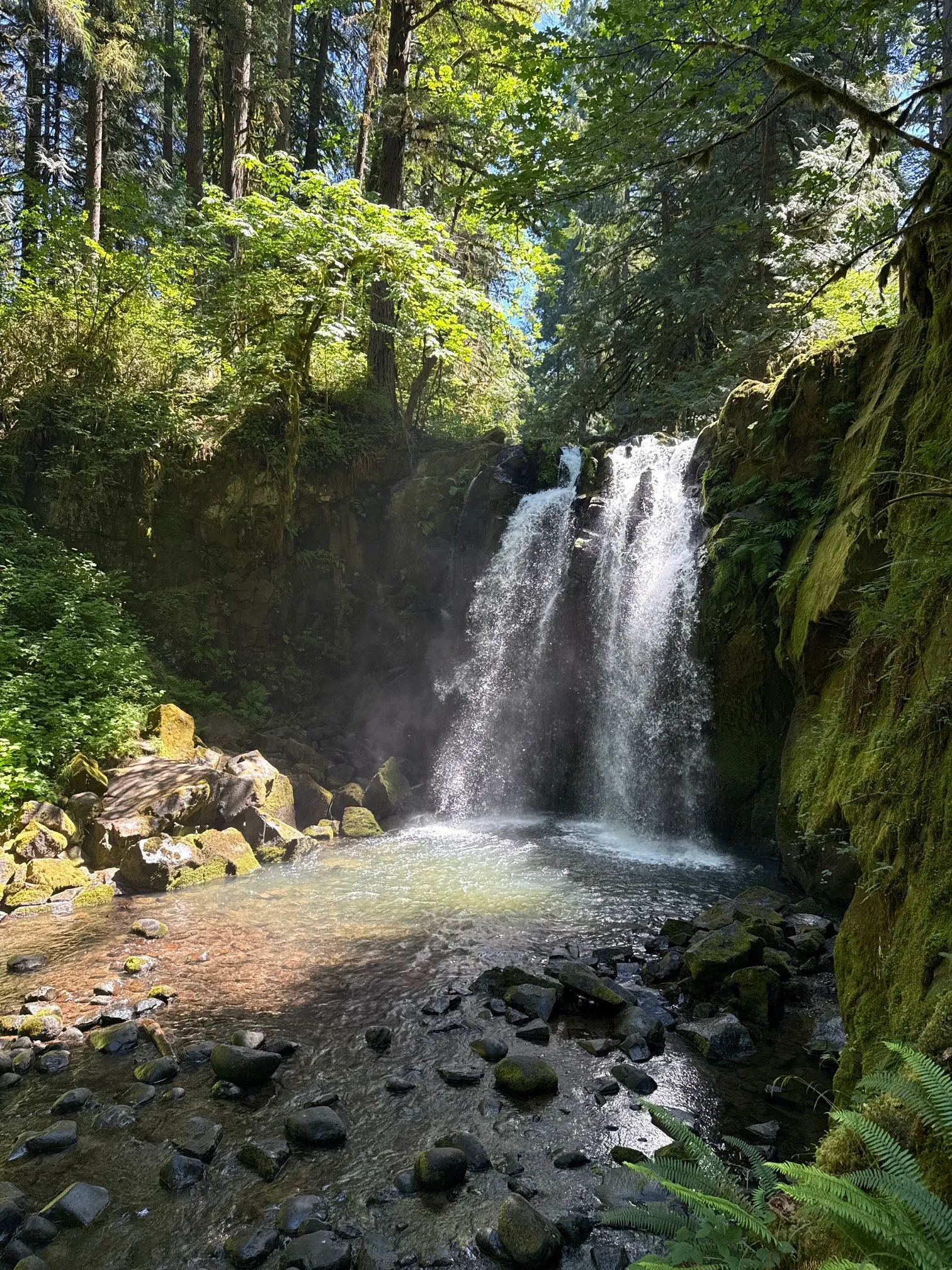 McDowell Creek County Park Loop
