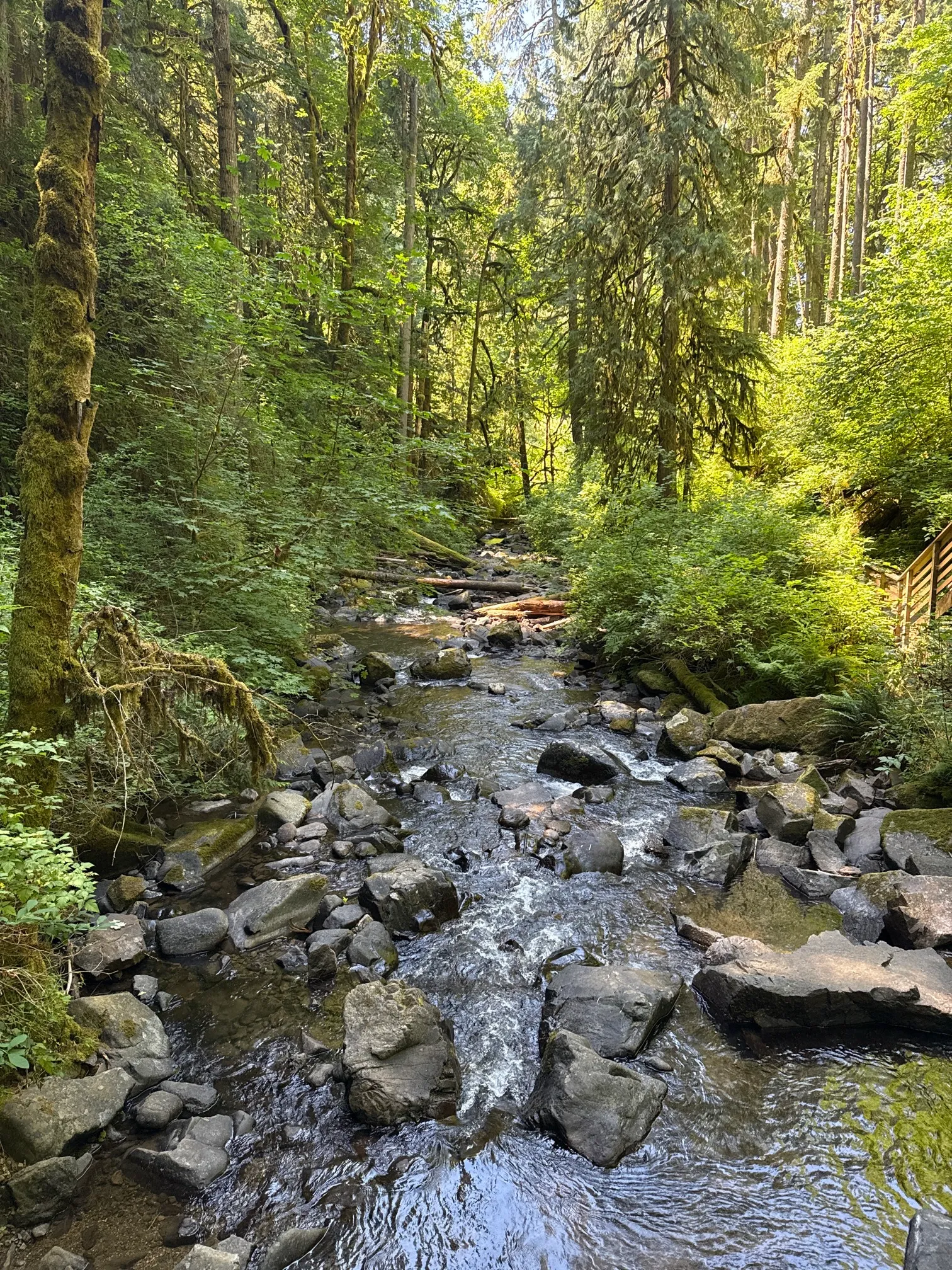 McDowell Creek County Park Loop