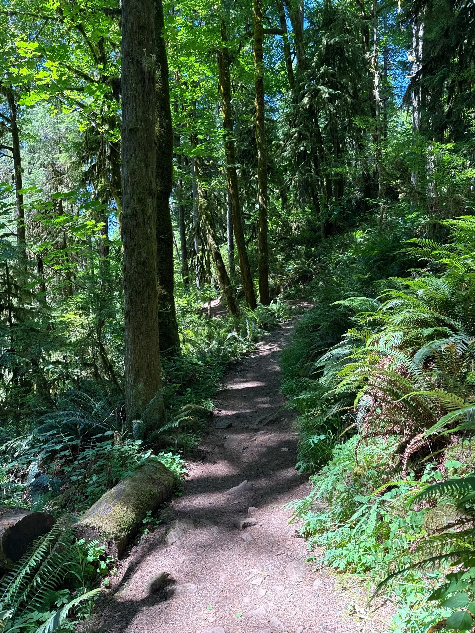 McDowell Creek County Park Loop