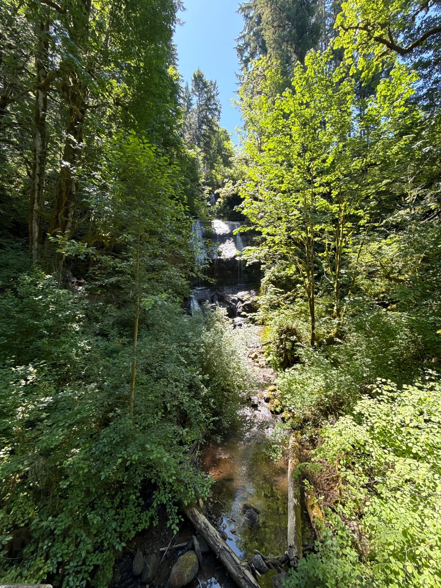 McDowell Creek County Park Loop