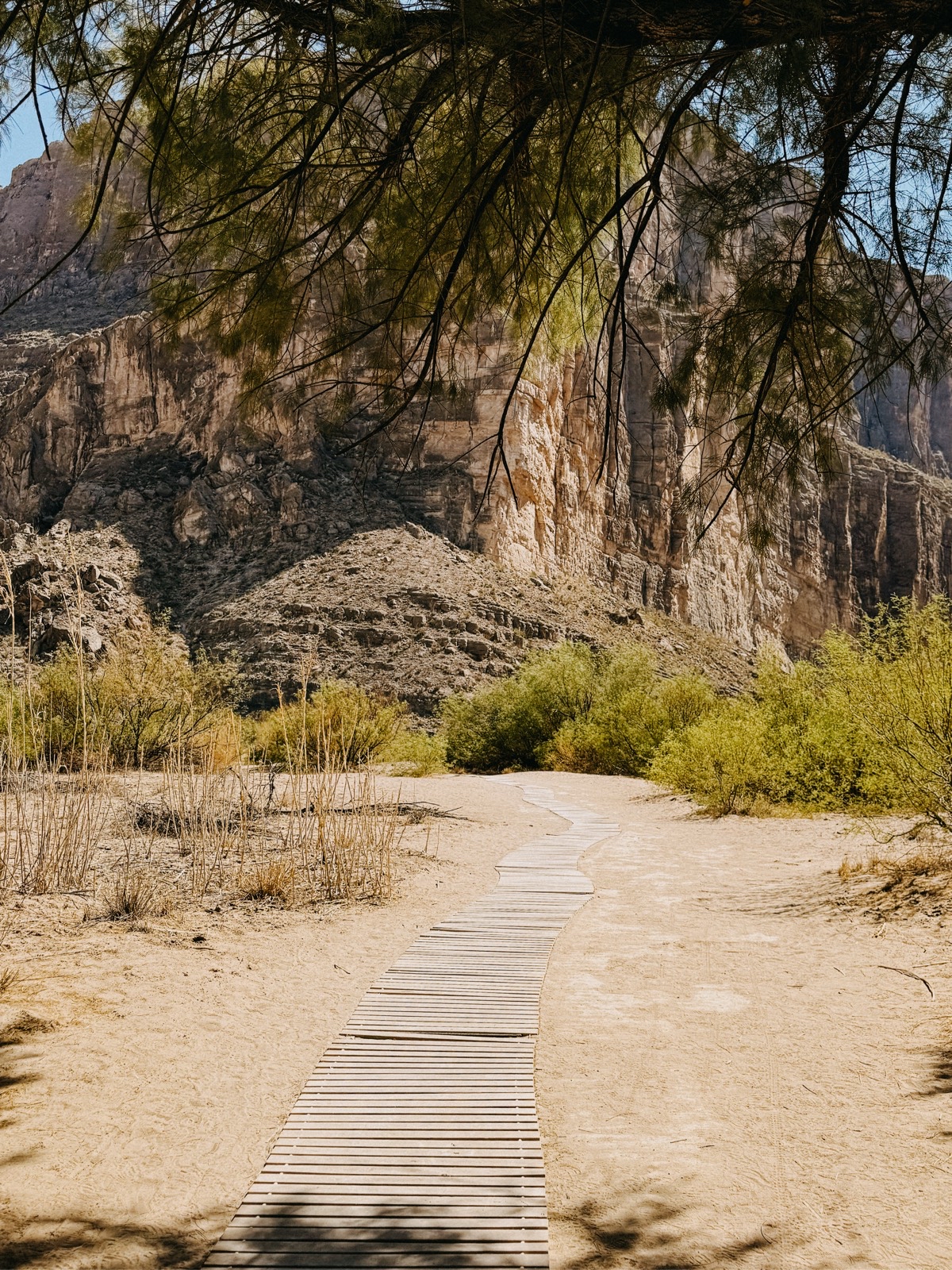 Santa Elena Canyon