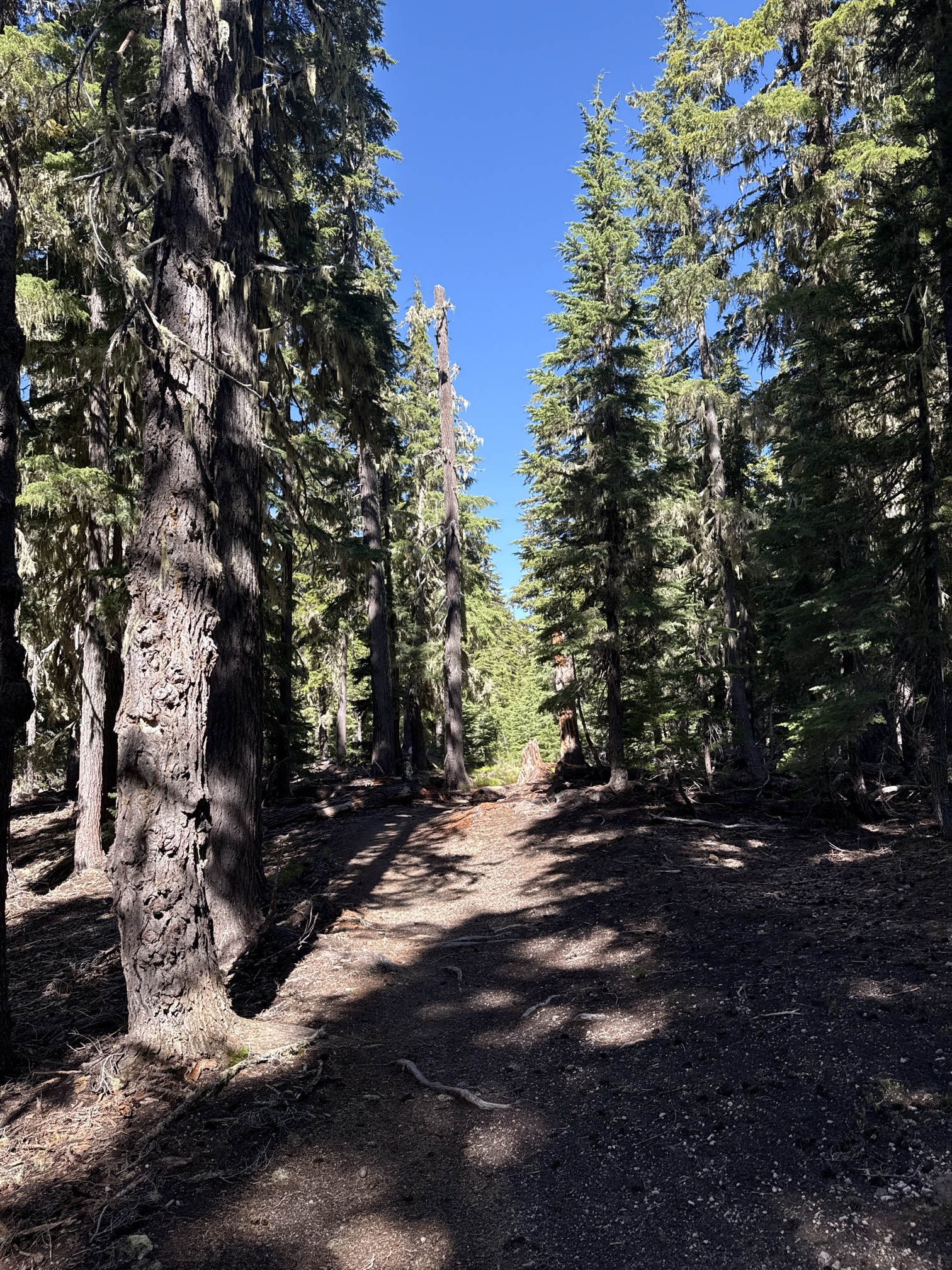Hike to Moraine Lake Beneath South Sister