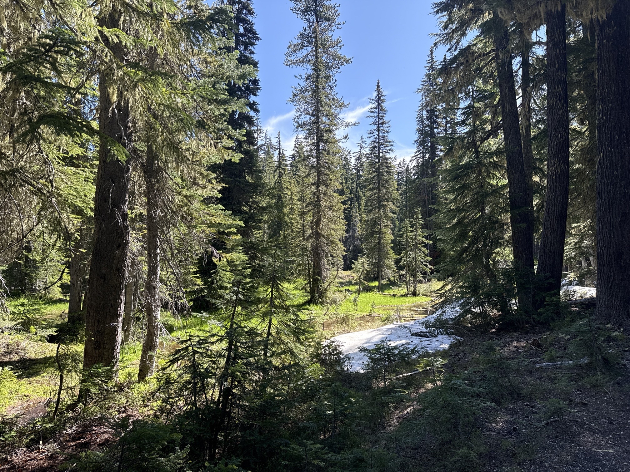 Hike to Moraine Lake Beneath South Sister