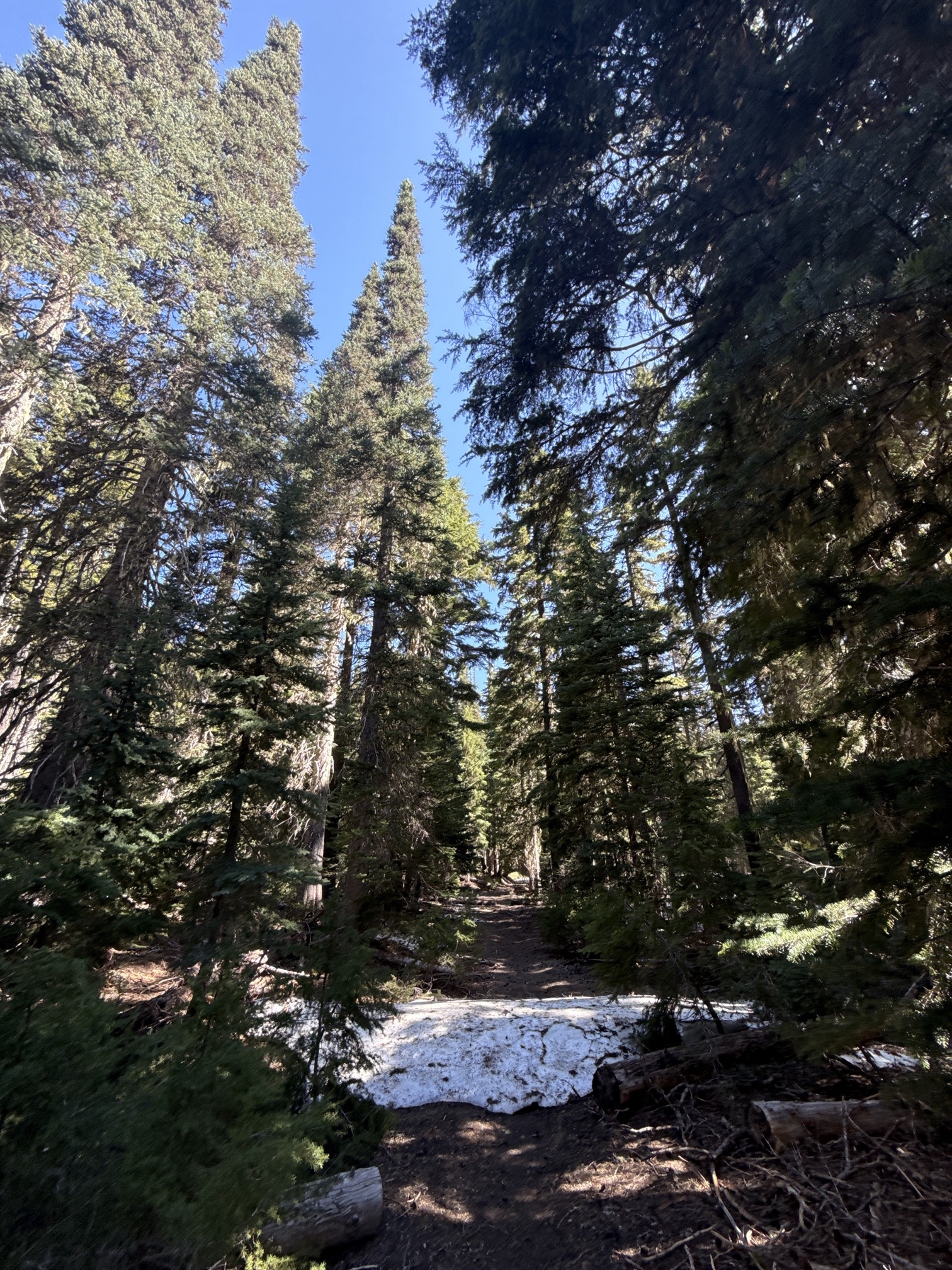 Hike to Moraine Lake Beneath South Sister