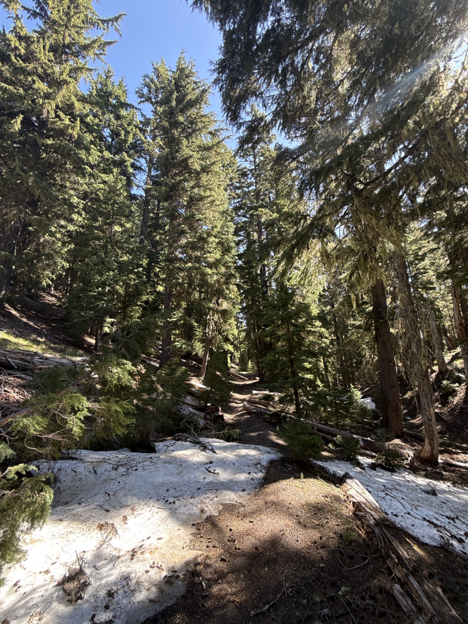 Hike to Moraine Lake Beneath South Sister