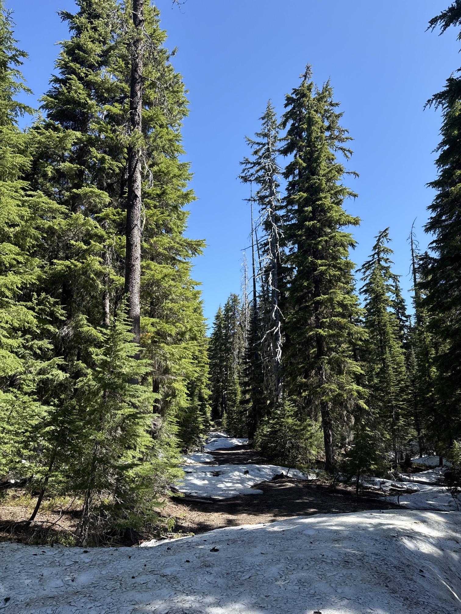 Hike to Moraine Lake Beneath South Sister