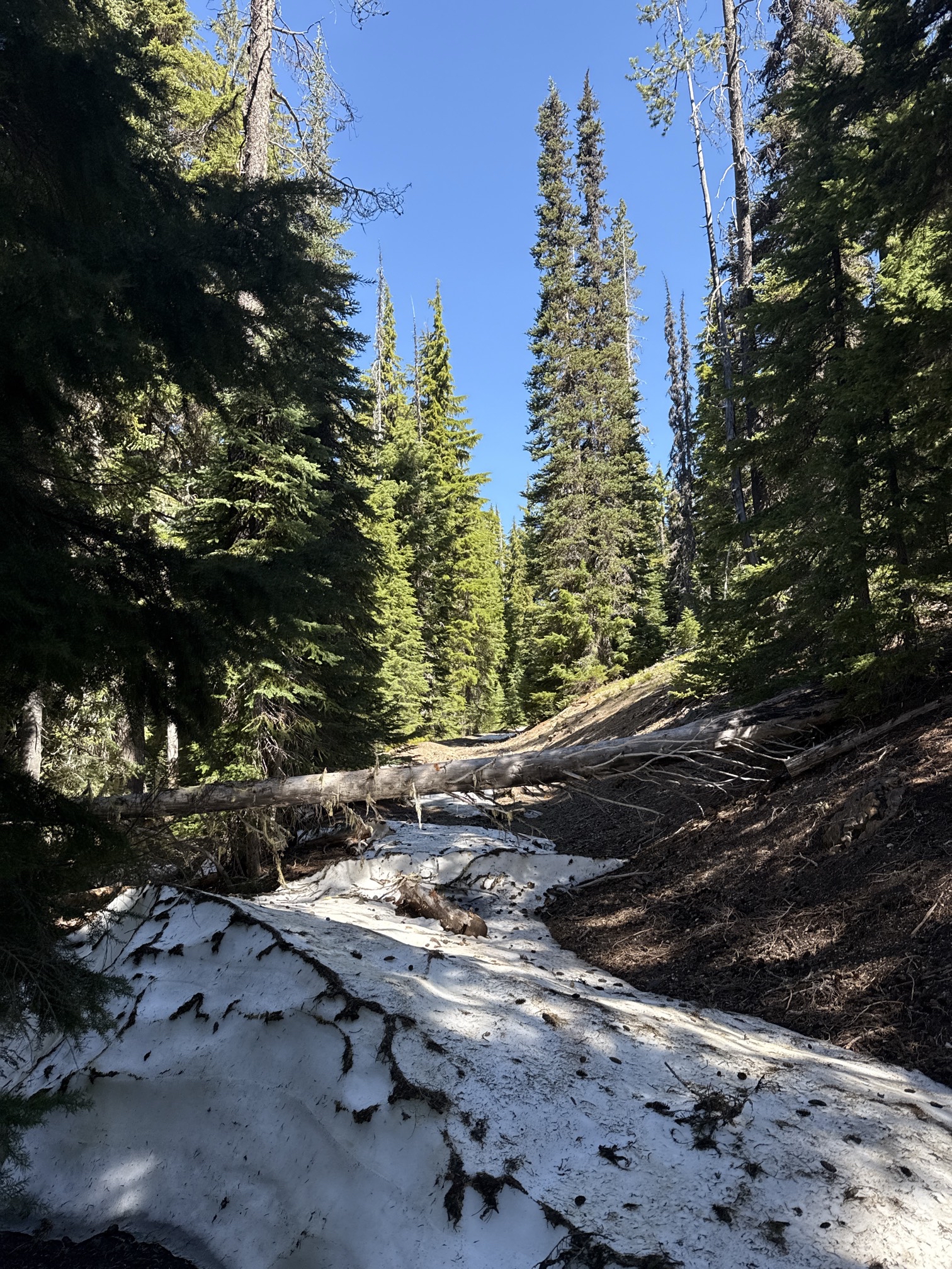 Hike to Moraine Lake Beneath South Sister