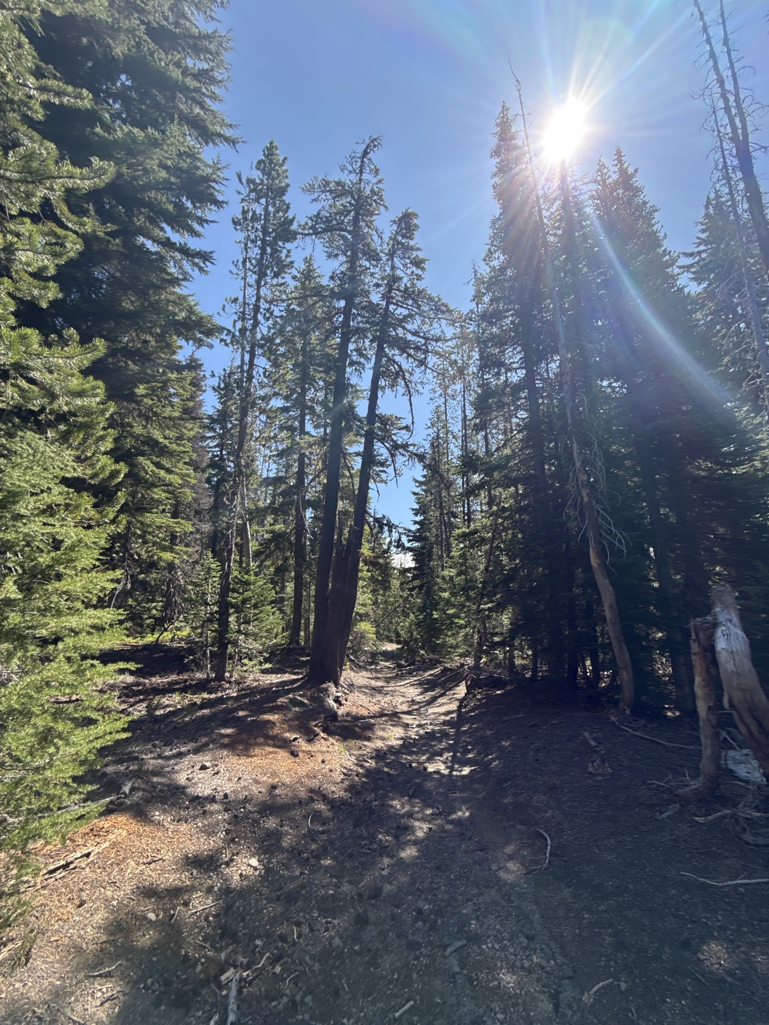 Hike to Moraine Lake Beneath South Sister