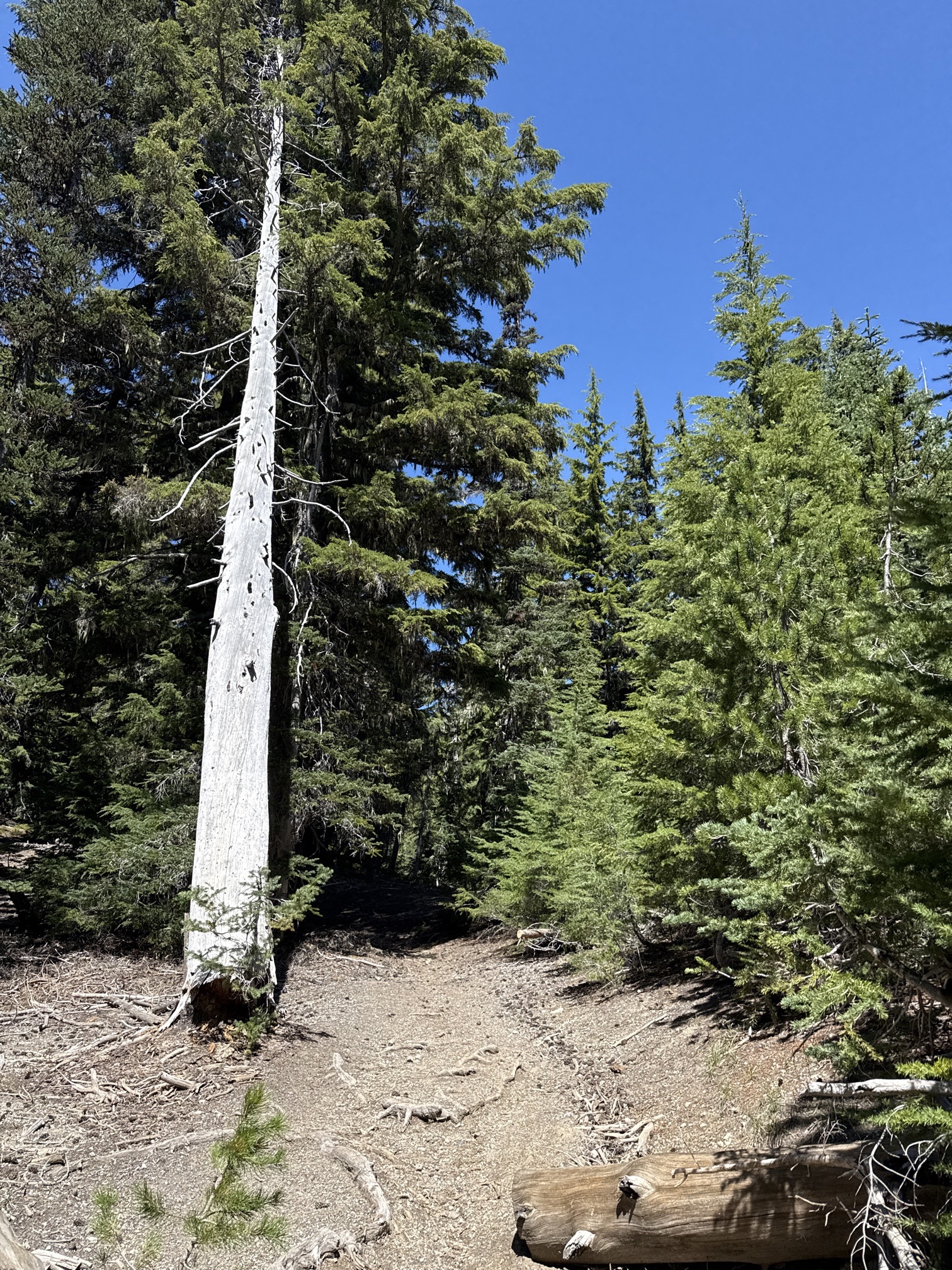 Hike to Moraine Lake Beneath South Sister