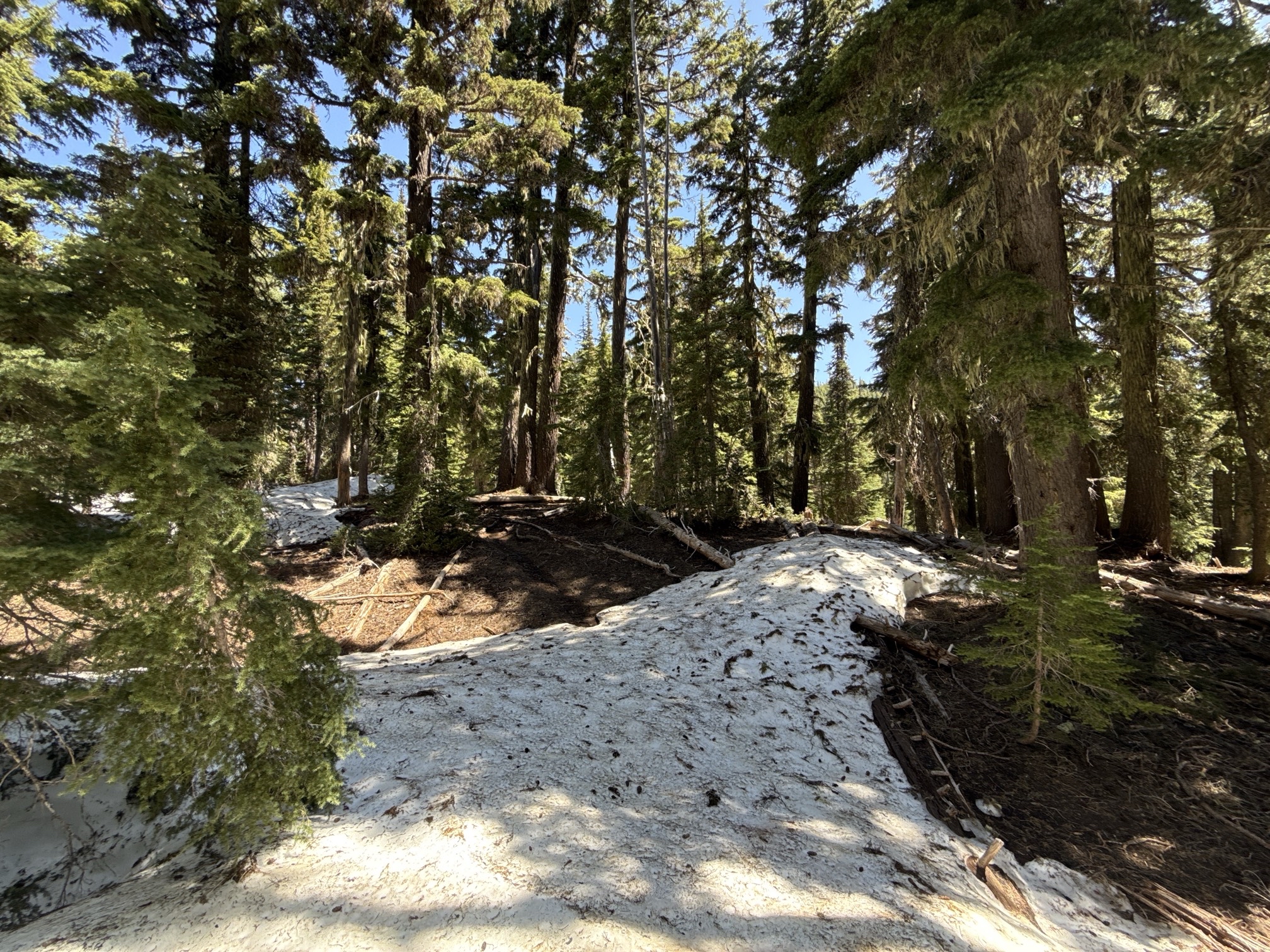 Hike to Moraine Lake Beneath South Sister