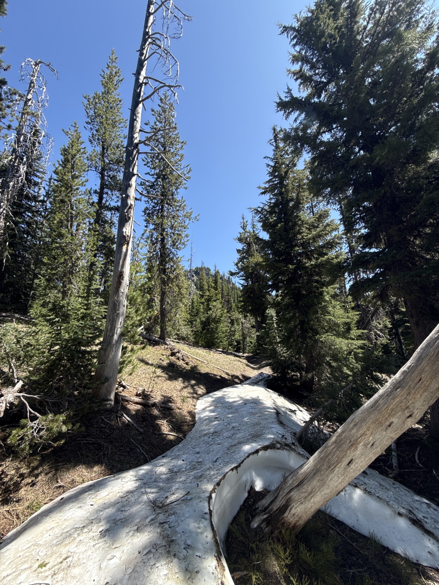 Hike to Moraine Lake Beneath South Sister