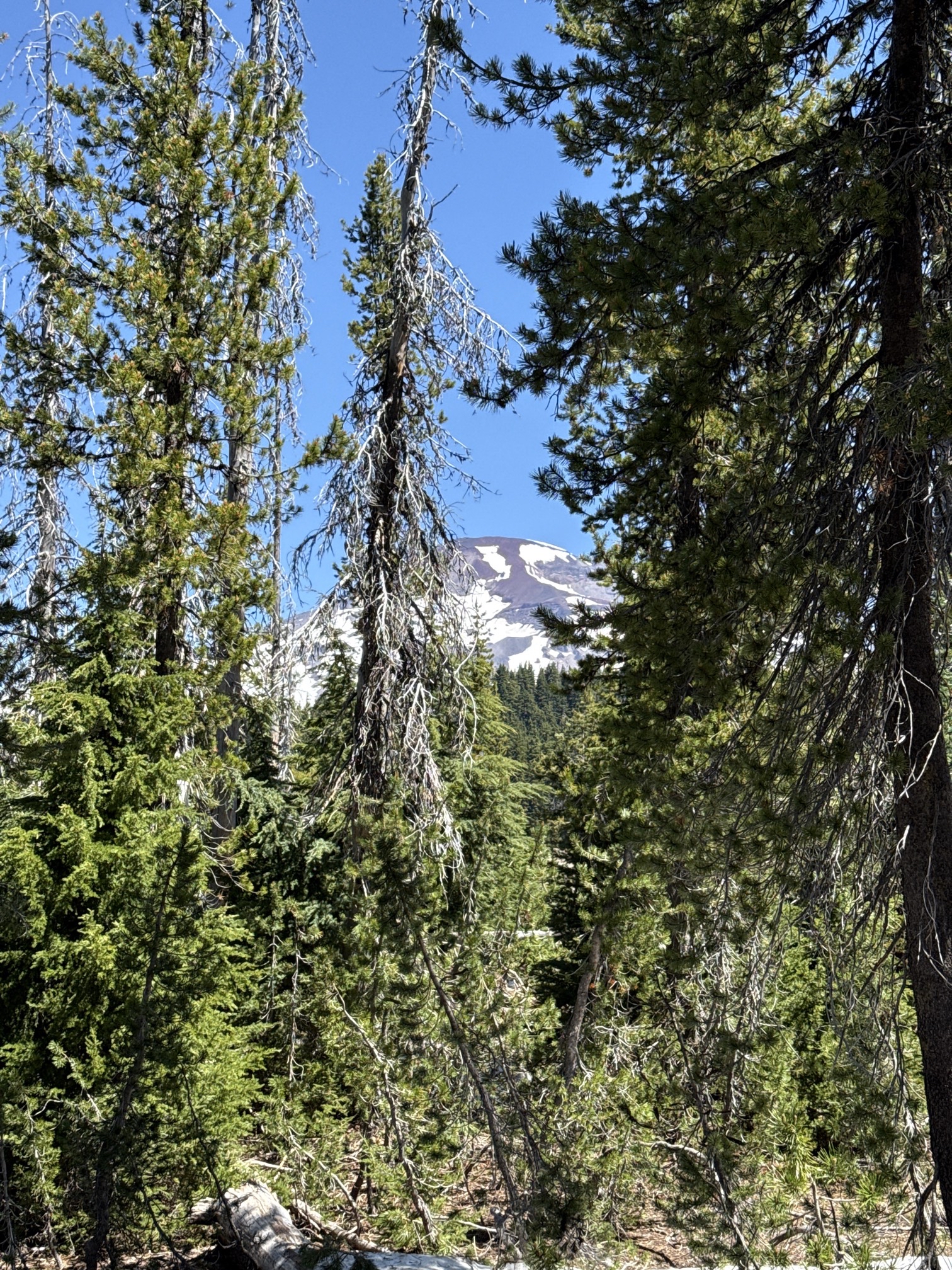 Hike to Moraine Lake Beneath South Sister