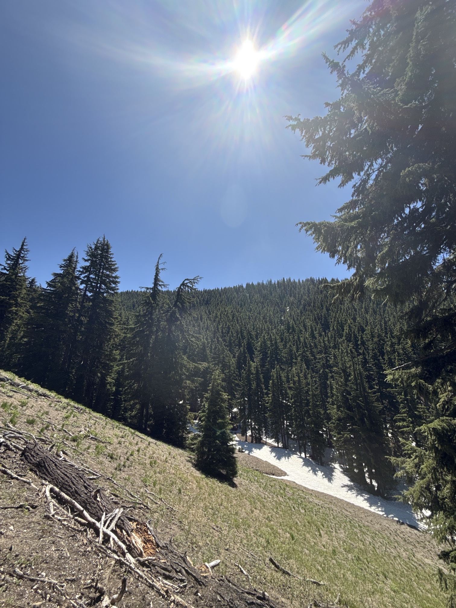 Hike to Moraine Lake Beneath South Sister