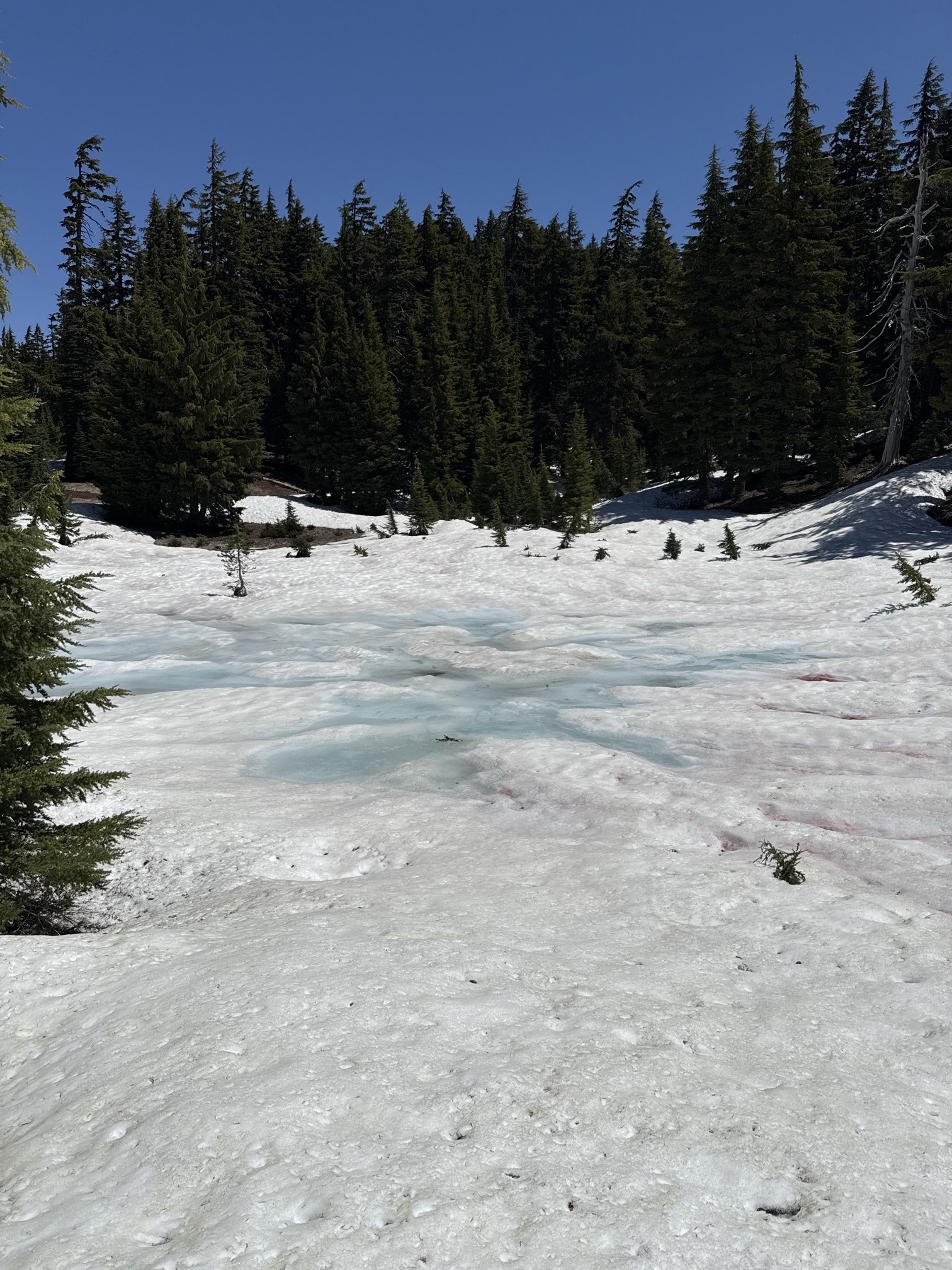 Hike to Moraine Lake Beneath South Sister