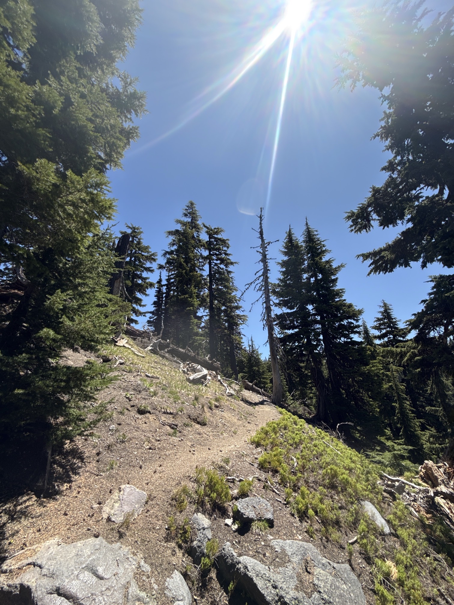 Hike to Moraine Lake Beneath South Sister