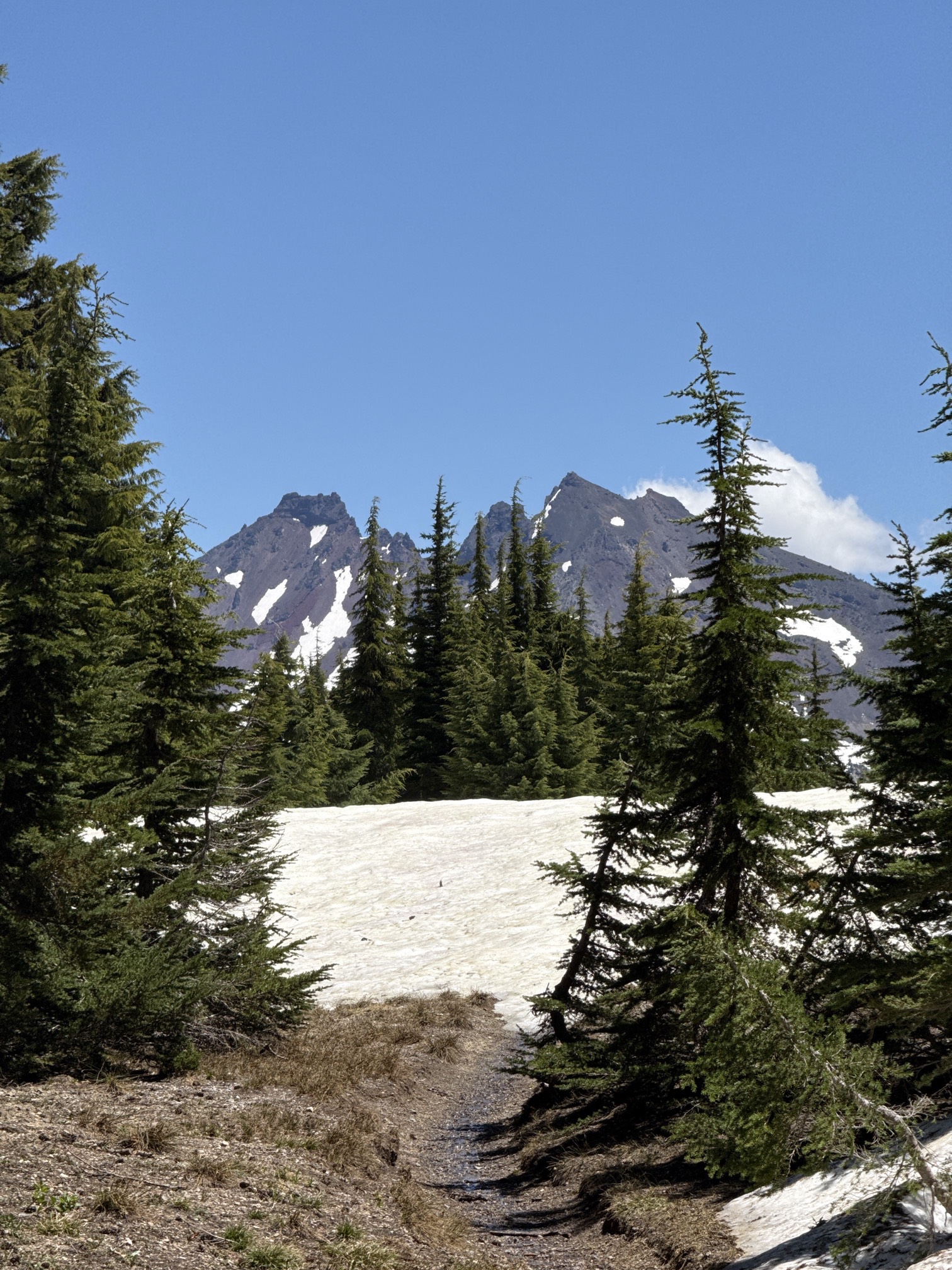 Hike to Moraine Lake Beneath South Sister