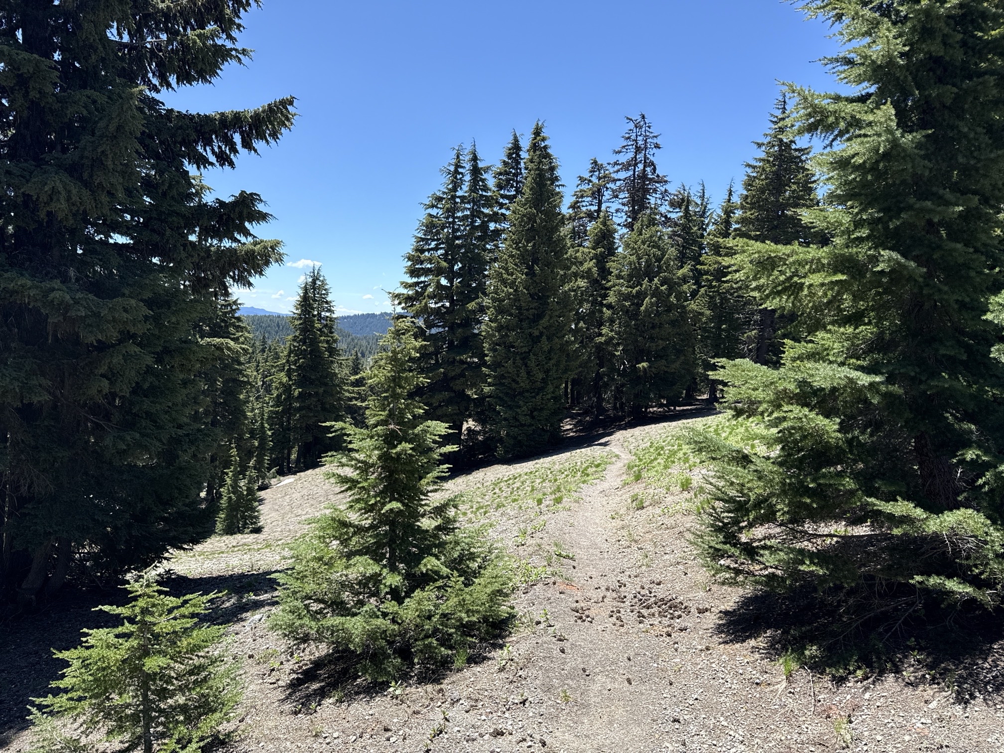 Hike to Moraine Lake Beneath South Sister